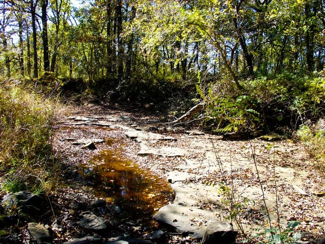 Saddlebrook Ranch Tract 23 photo 7