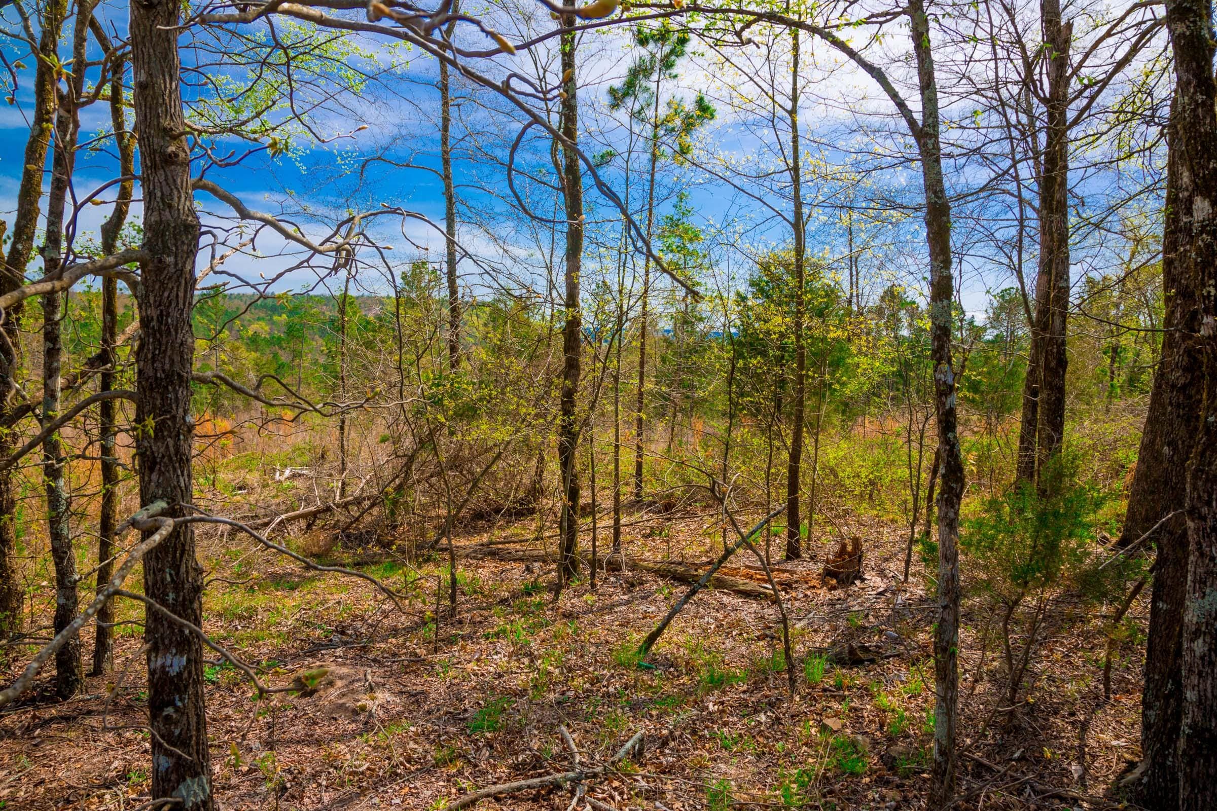 Stone Creek Phase II Tract 257 photo 2