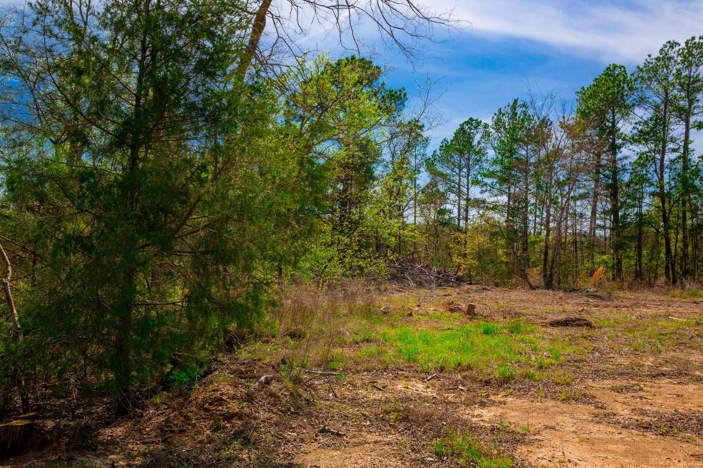 Stone Creek Phase II Tract 257 photo 3