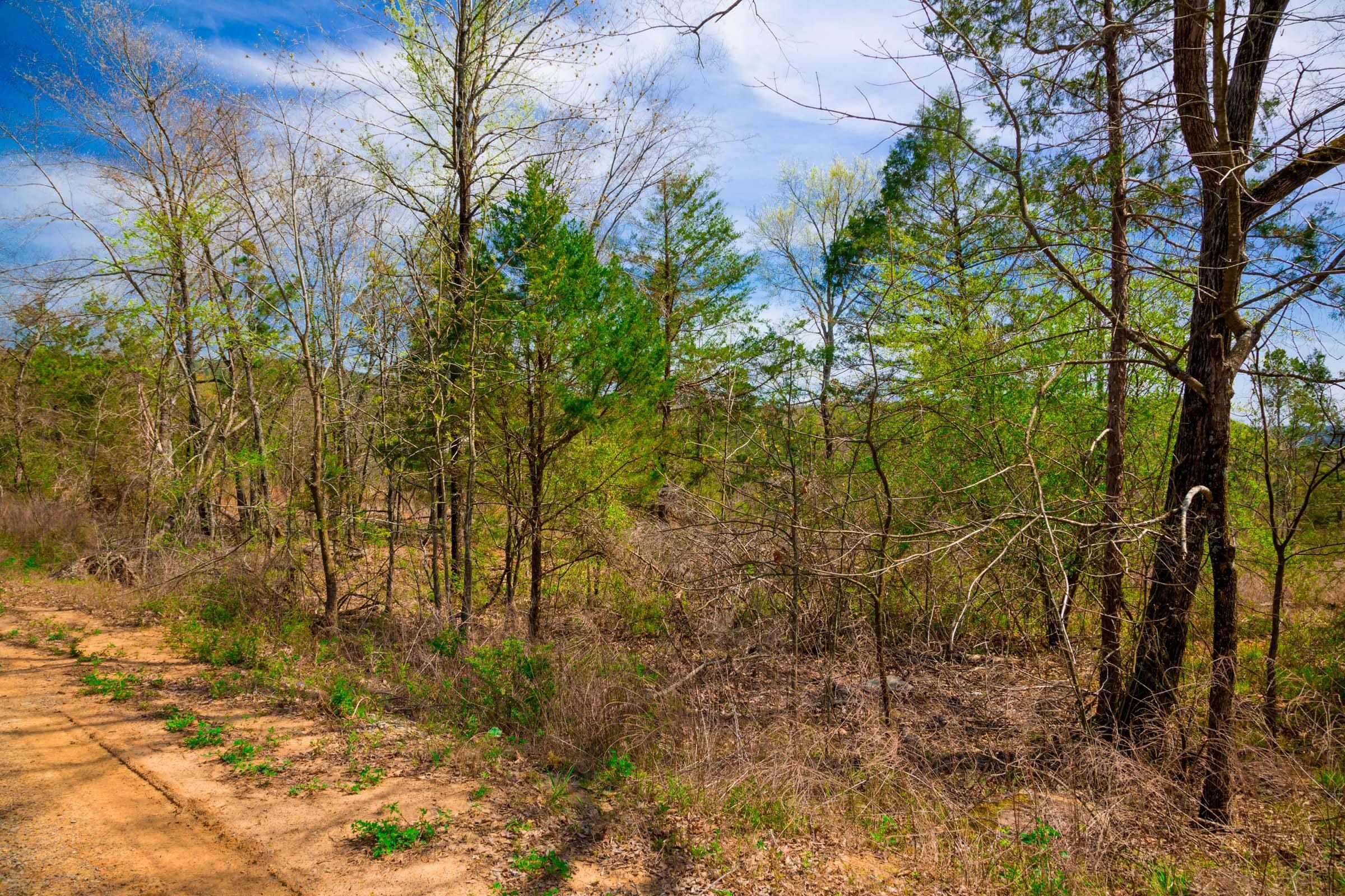 Stone Creek Phase II Tract 257 photo 5