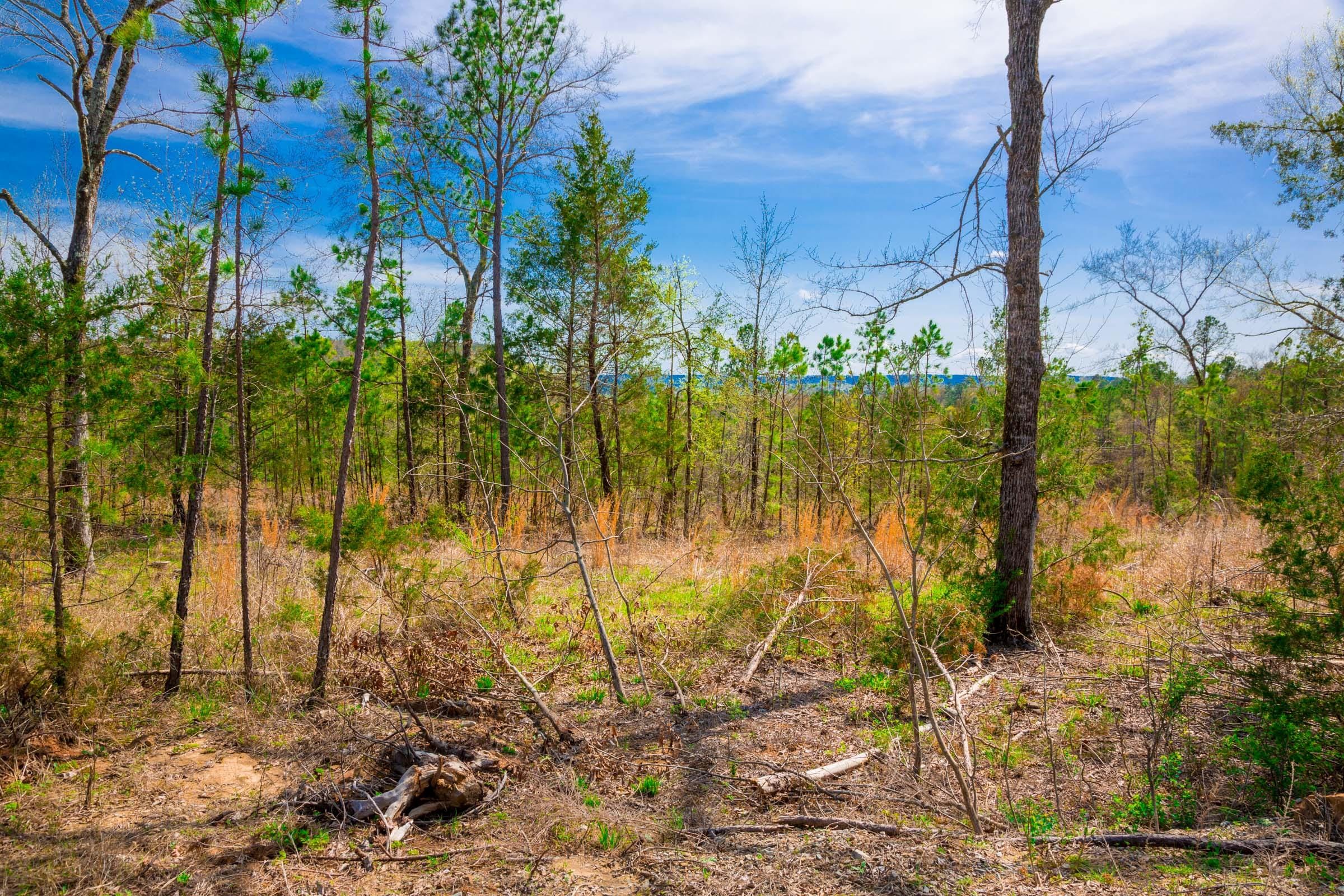 Stone Creek Phase II Tract 257 photo 6