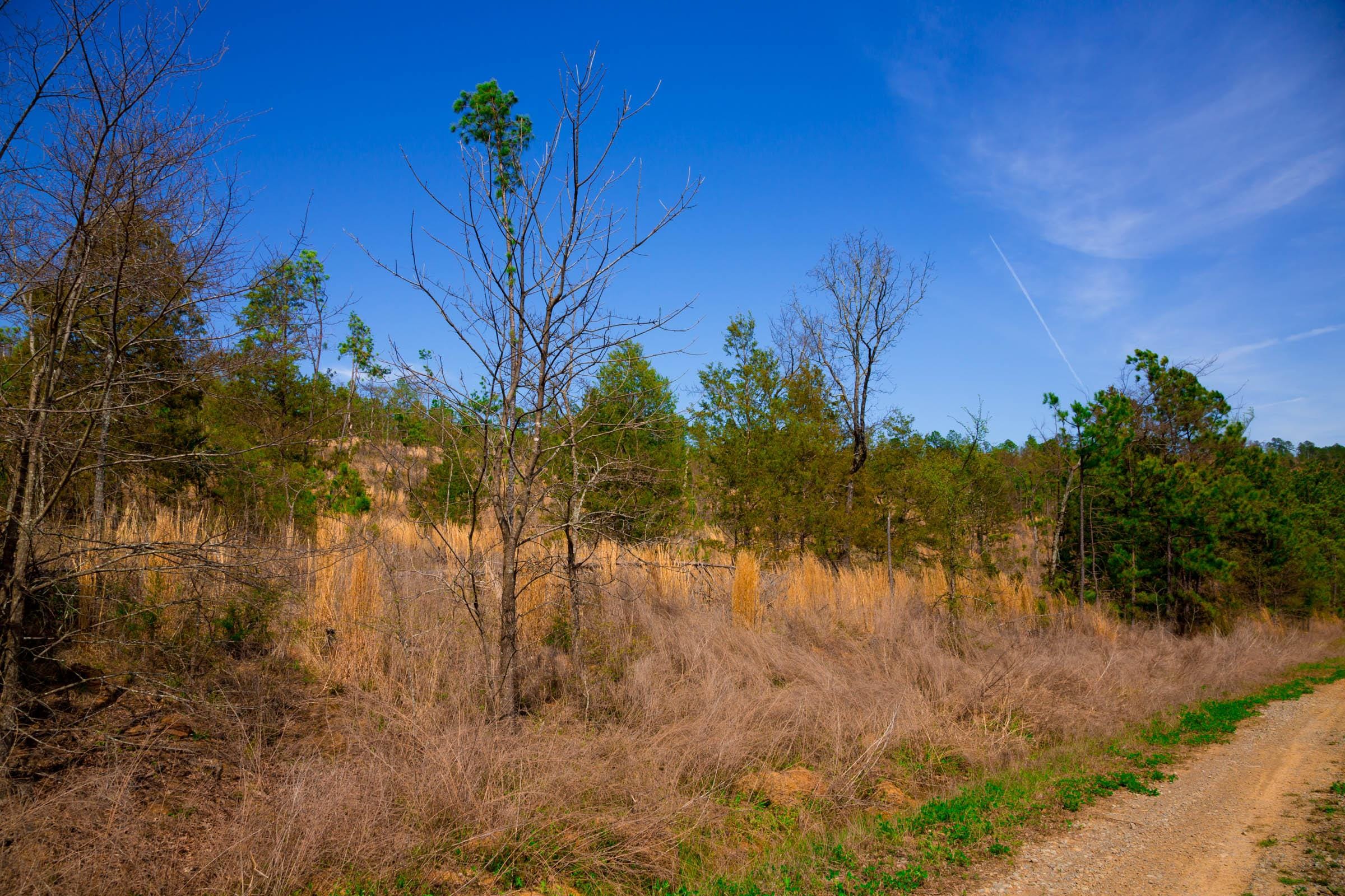 Stone Creek Phase II Tract 257 photo 7