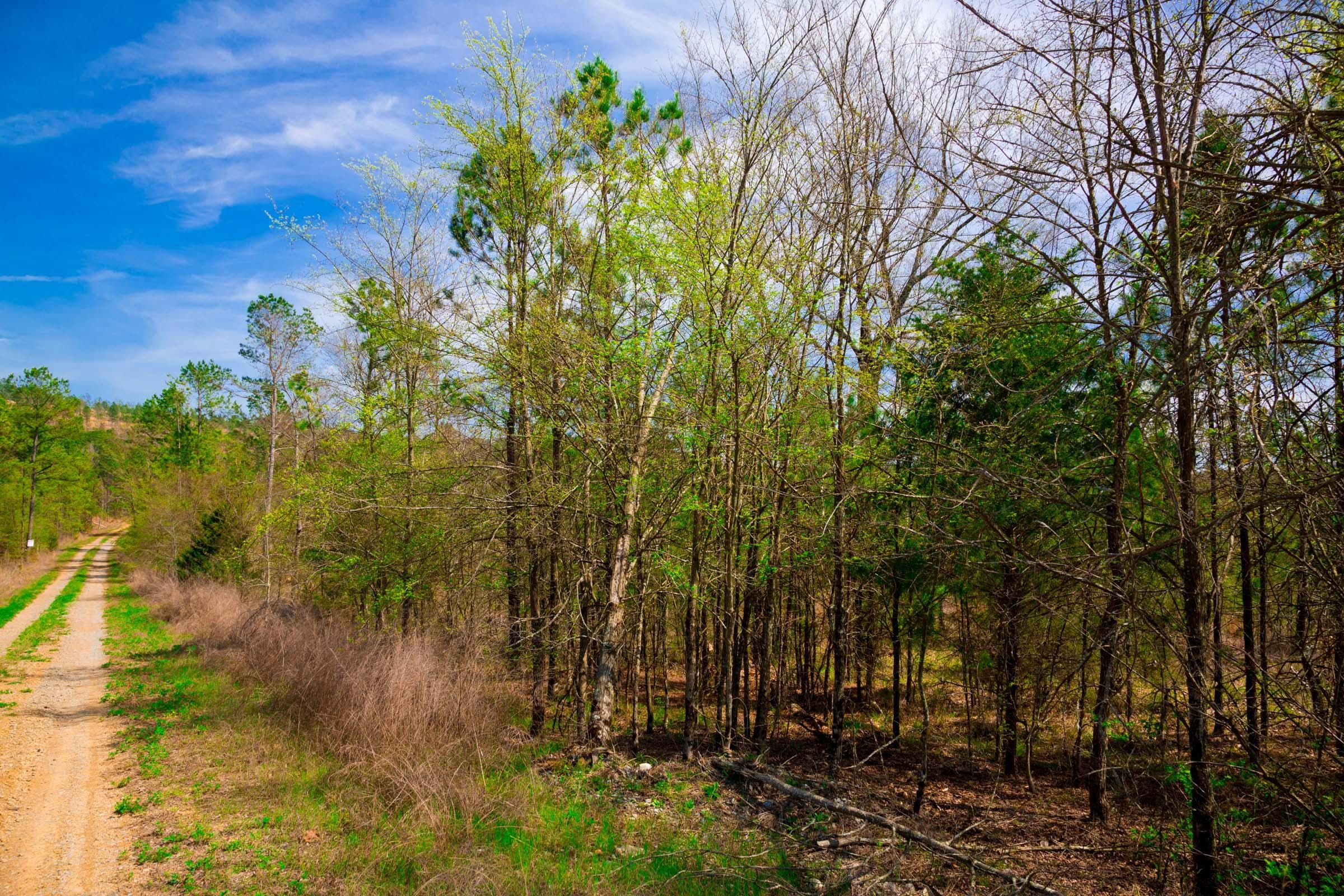 Stone Creek Phase II Tract 257 photo 8