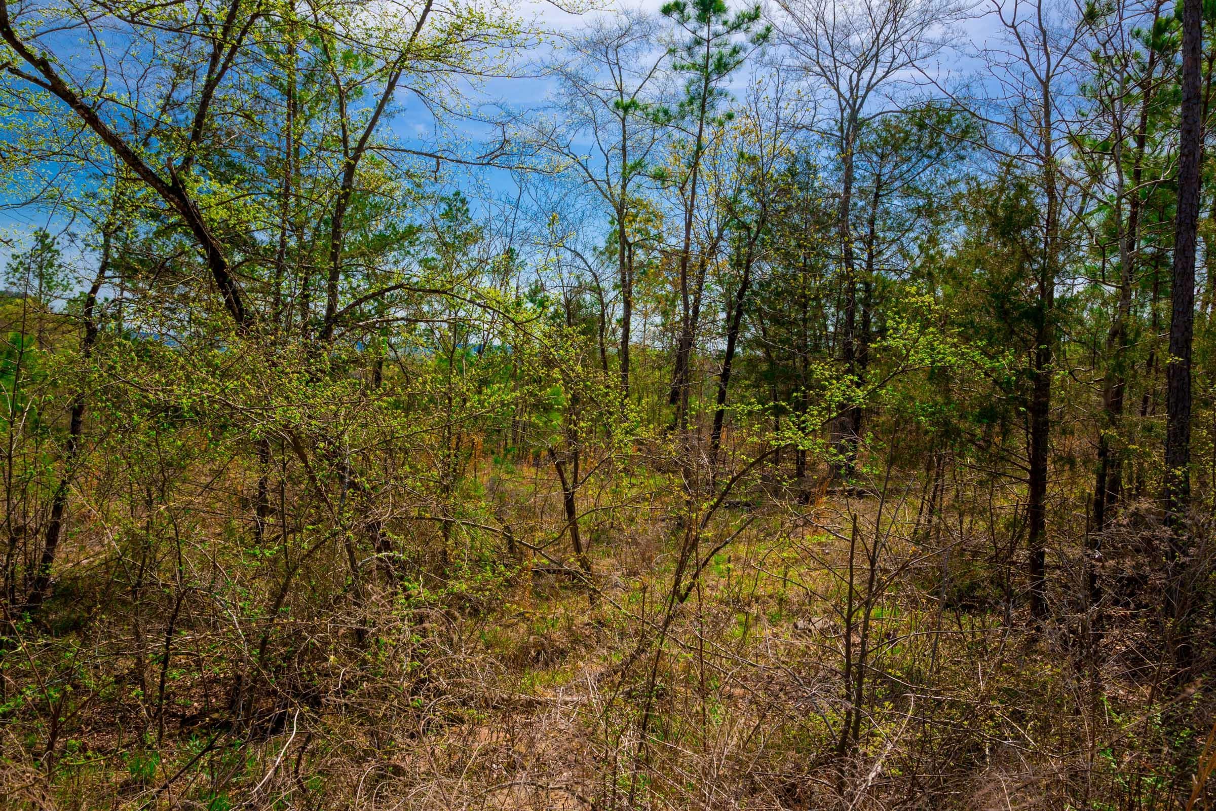 Stone Creek Phase II Tract 257 photo 10