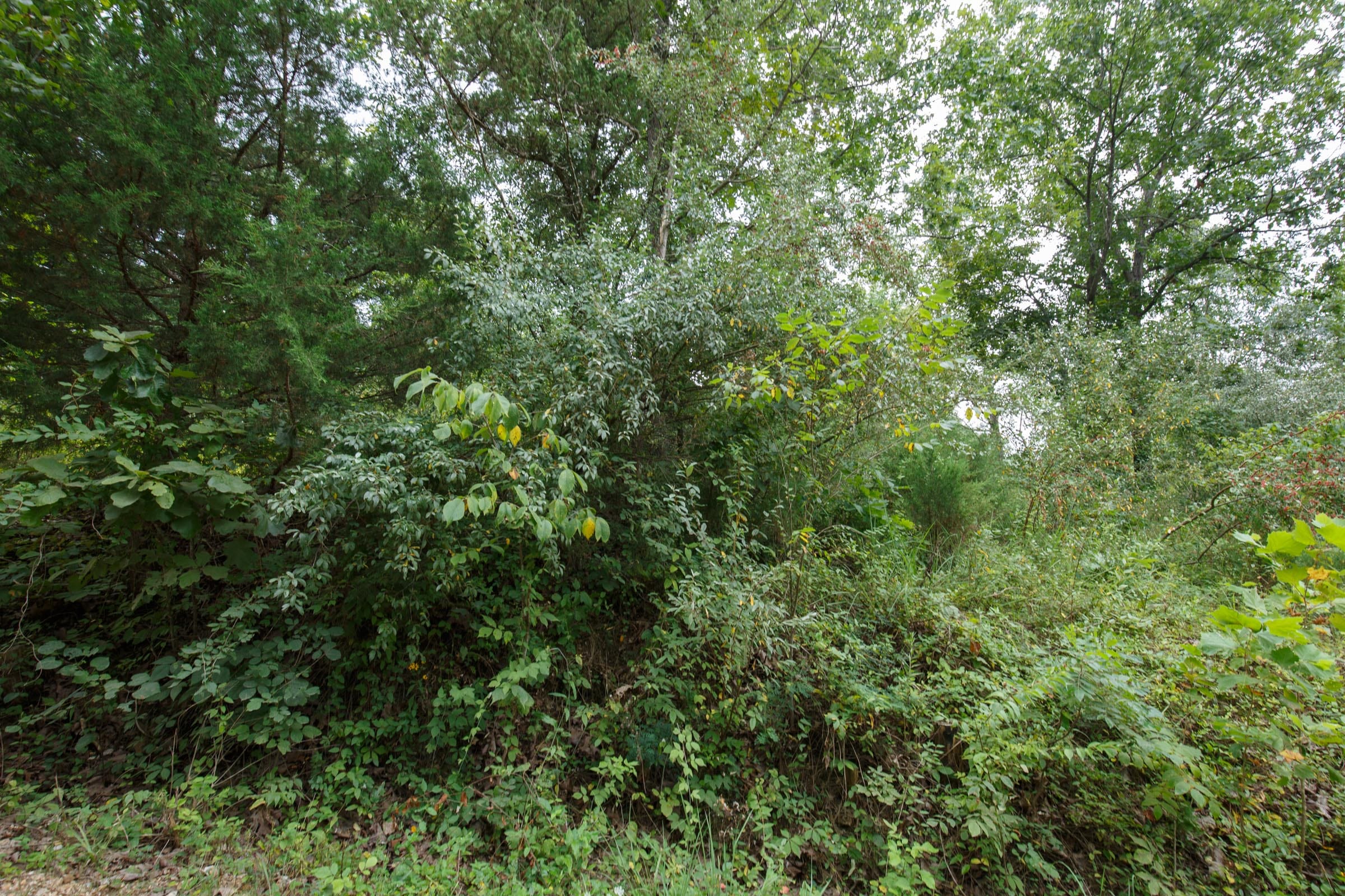 Spring Lake Plat 5 Tract 175 photo 4