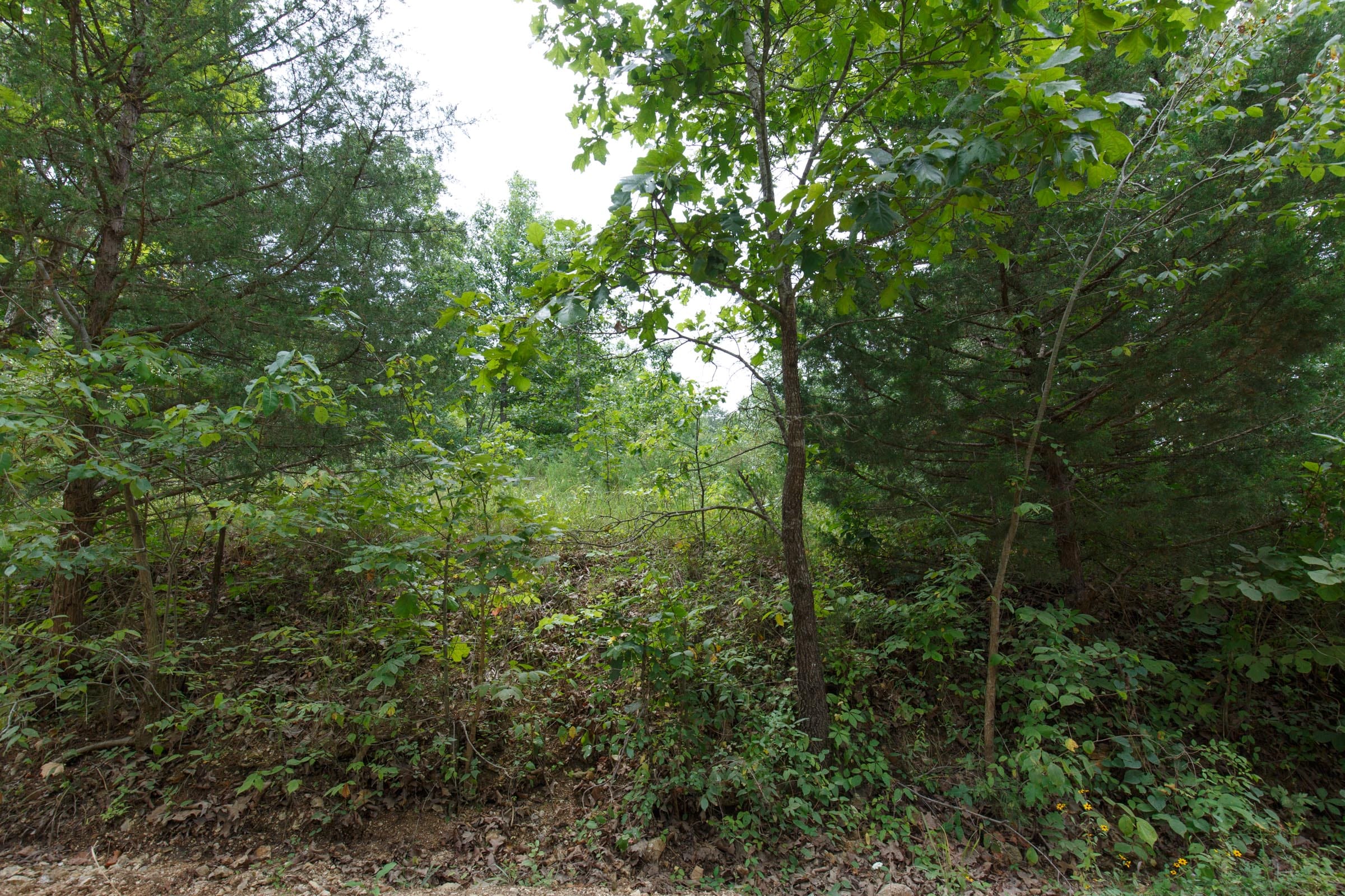 Spring Lake Plat 5 Tract 175 photo 2
