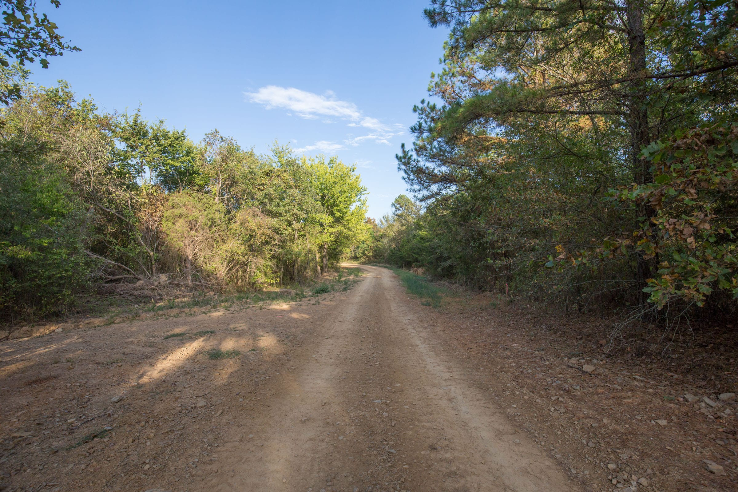 Stone Bridge Phase I Tract 18 photo 4