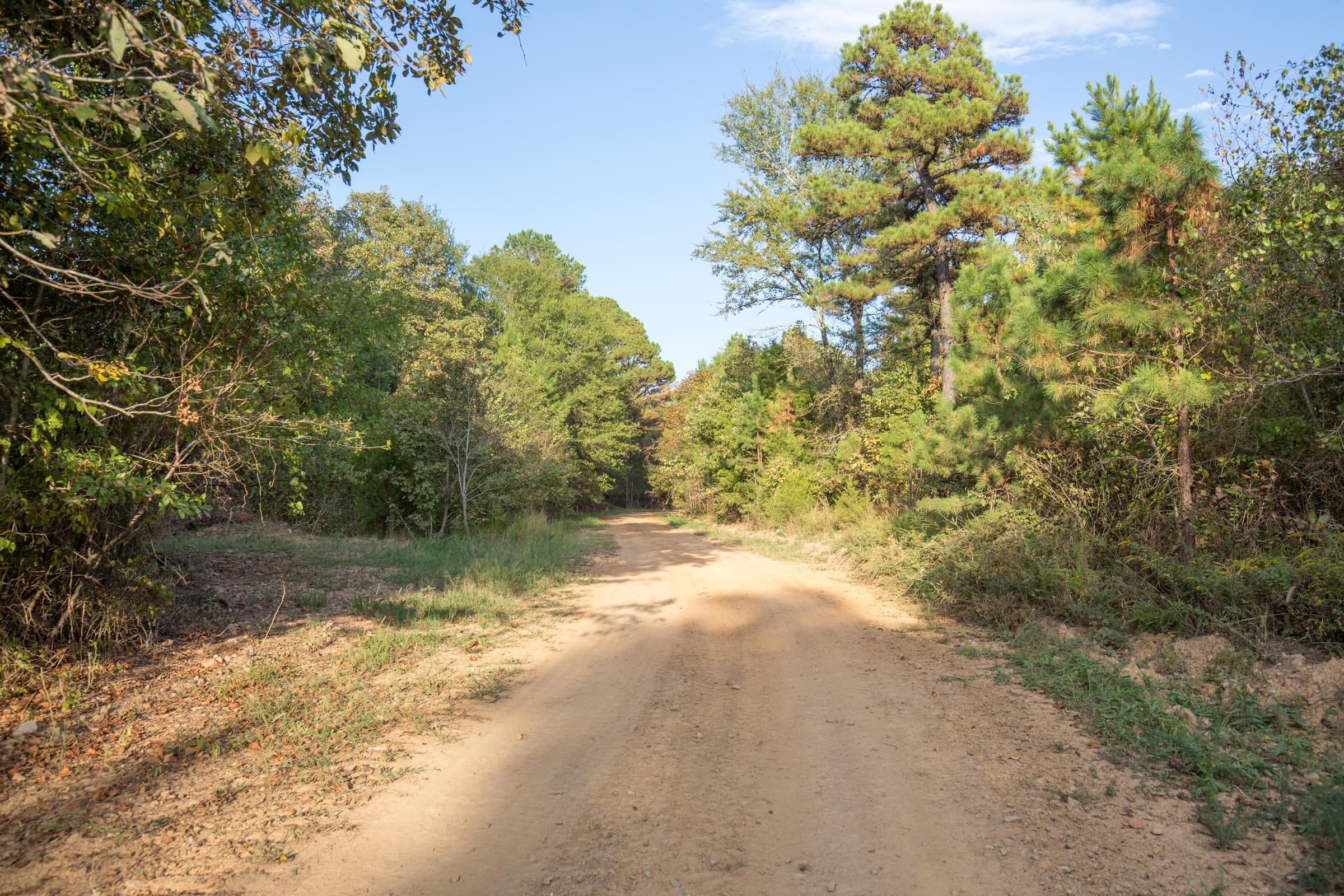 Stone Bridge Phase I Tract 18 photo 8