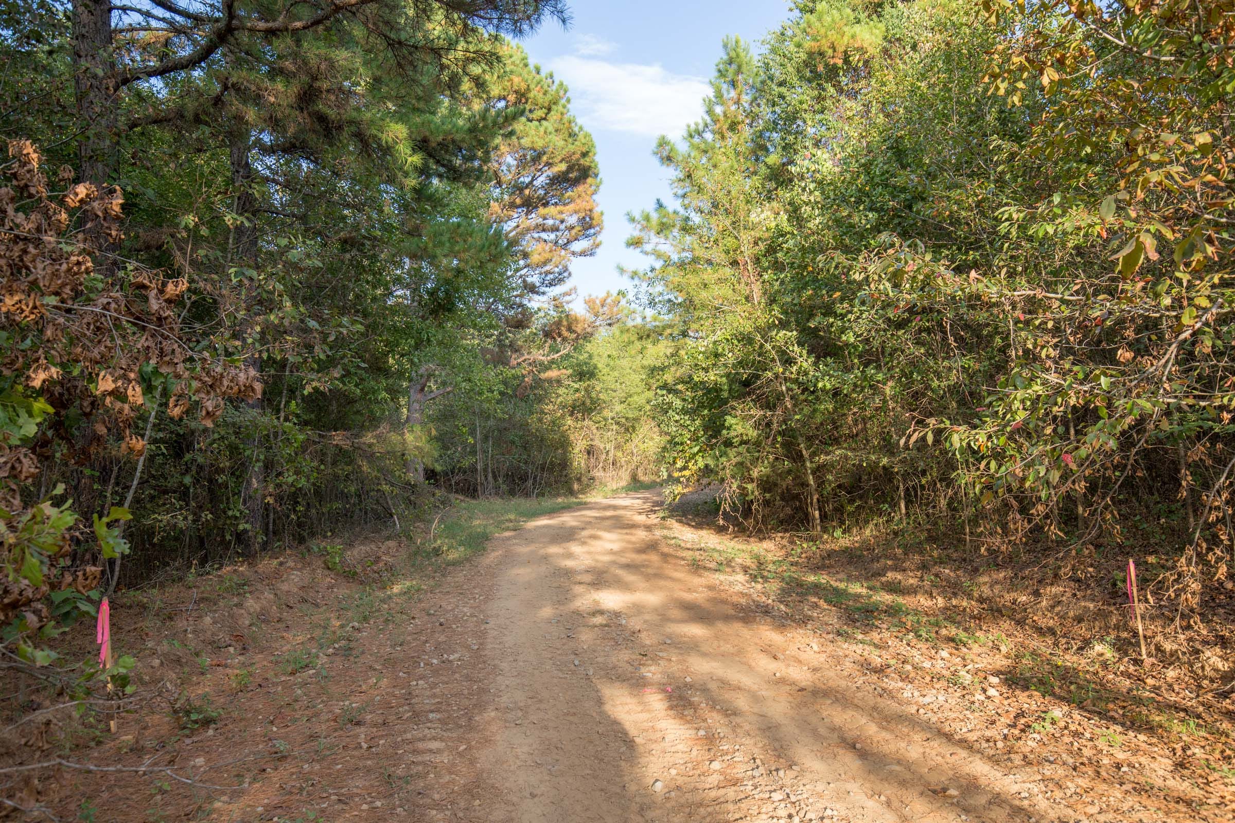Stone Bridge Phase I Tract 18 photo 12
