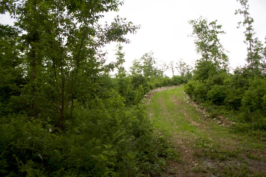 Thunder Mountain Ranch Tract 47 photo 4