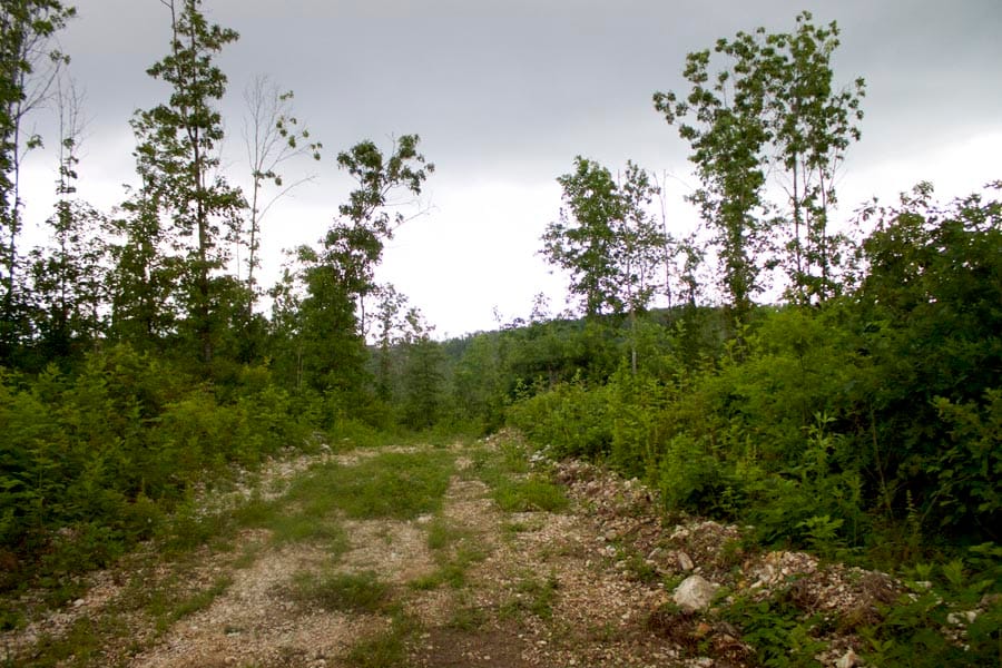 Thunder Mountain Ranch Tract 47 photo 8