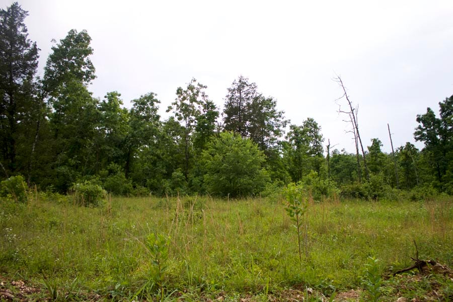 Thunder Mountain Ranch Tract 47 photo 9