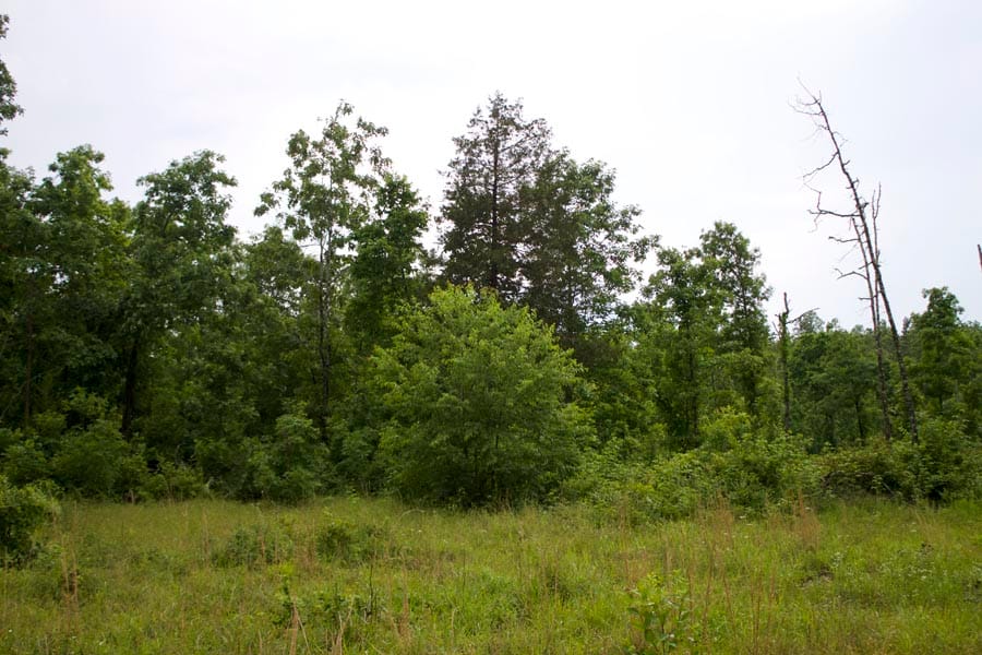 Thunder Mountain Ranch Tract 47 photo 11