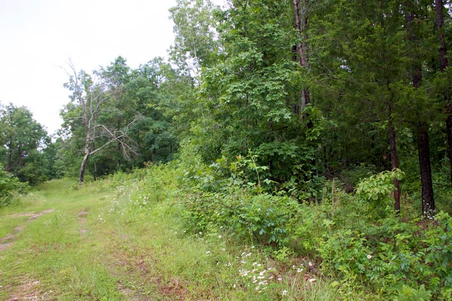 Thunder Mountain Ranch Tract 47 photo 17