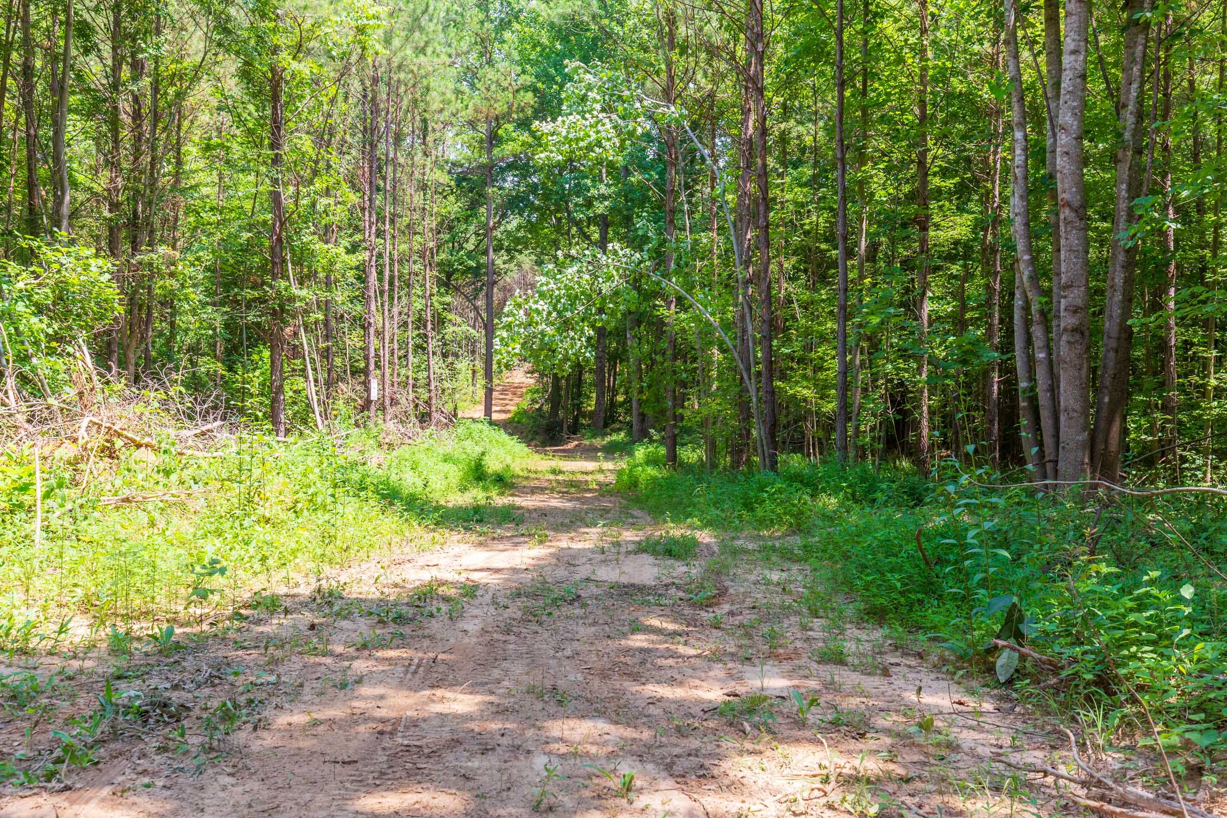 Whiskey Ridge Tract 98 photo 1
