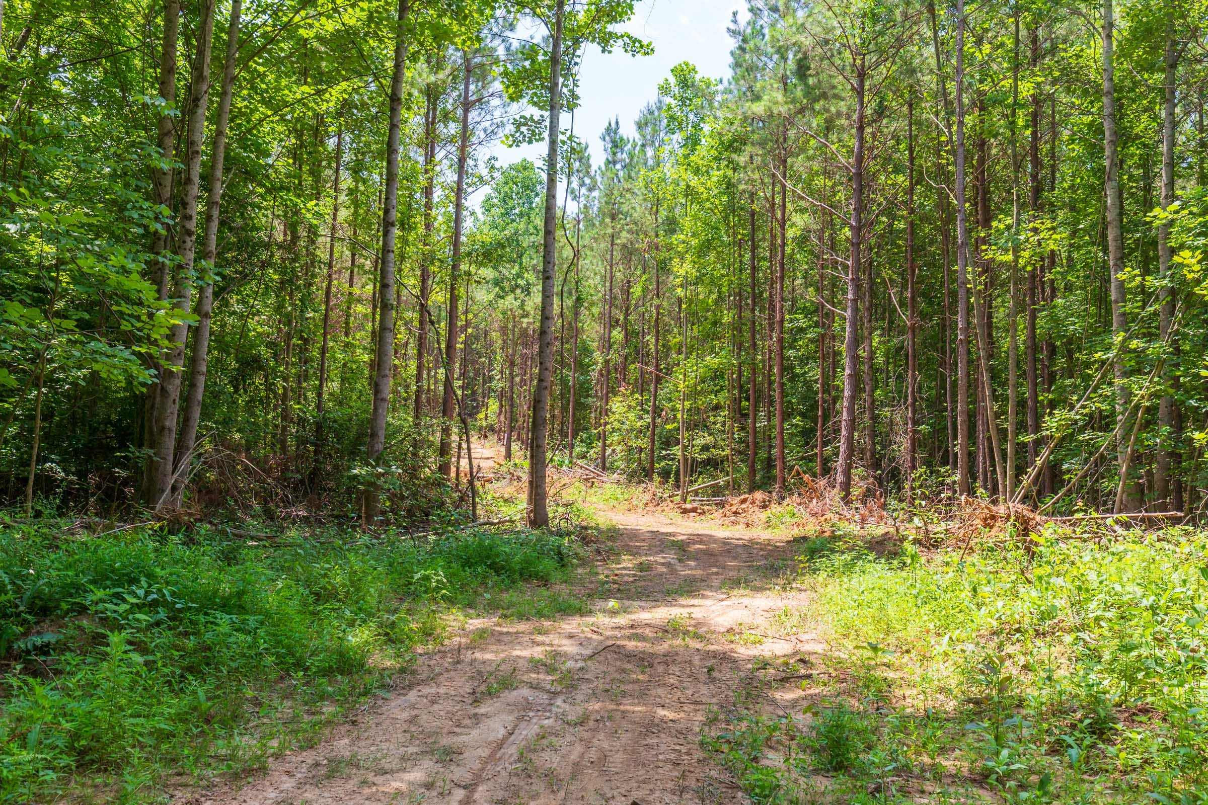 Whiskey Ridge Tract 98 photo 6