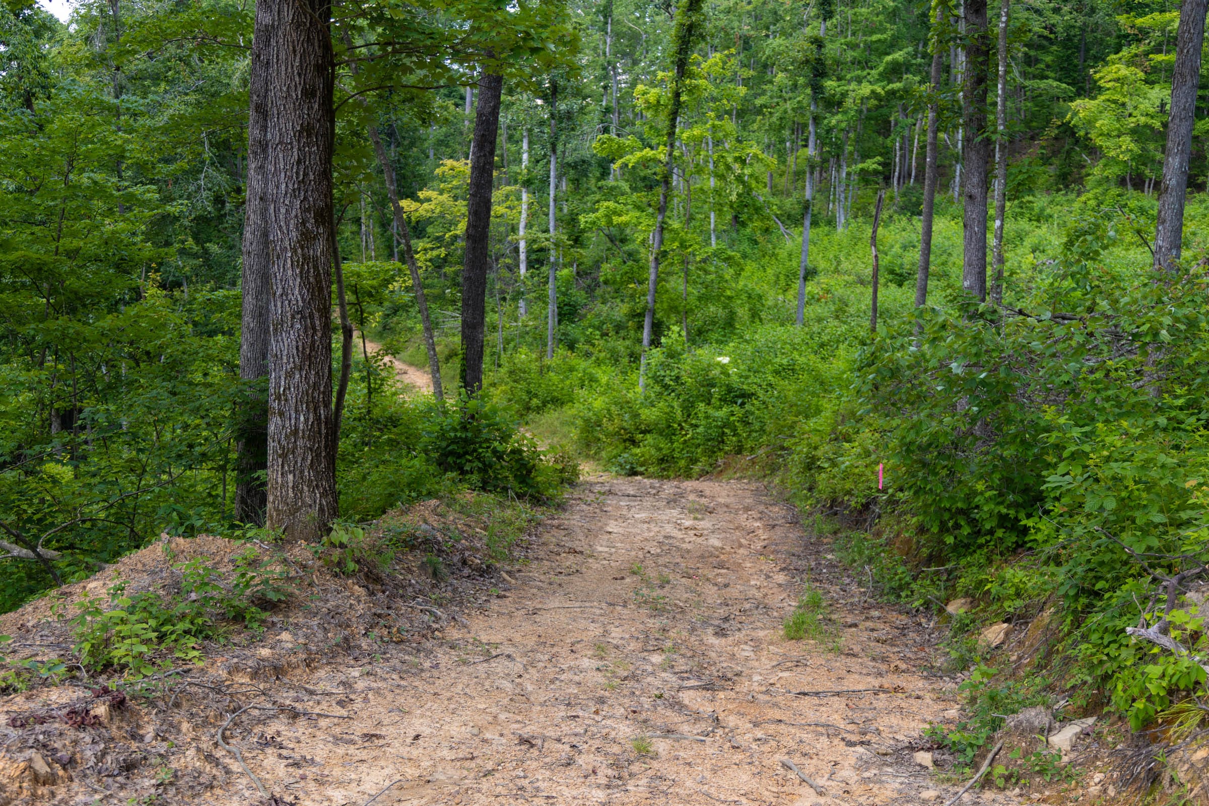 Creek Hollow Phase II Tract 61 photo 2