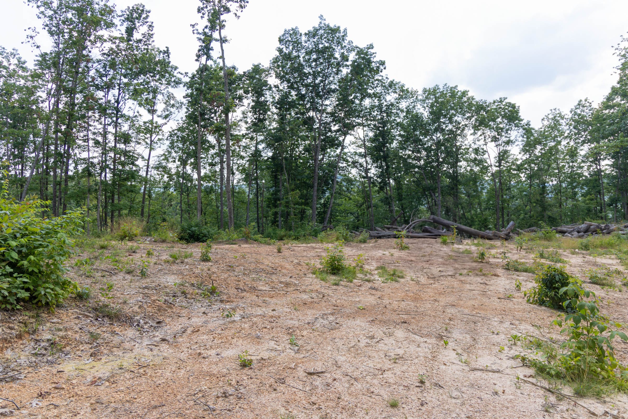 Creek Hollow Phase II Tract 61 photo 6
