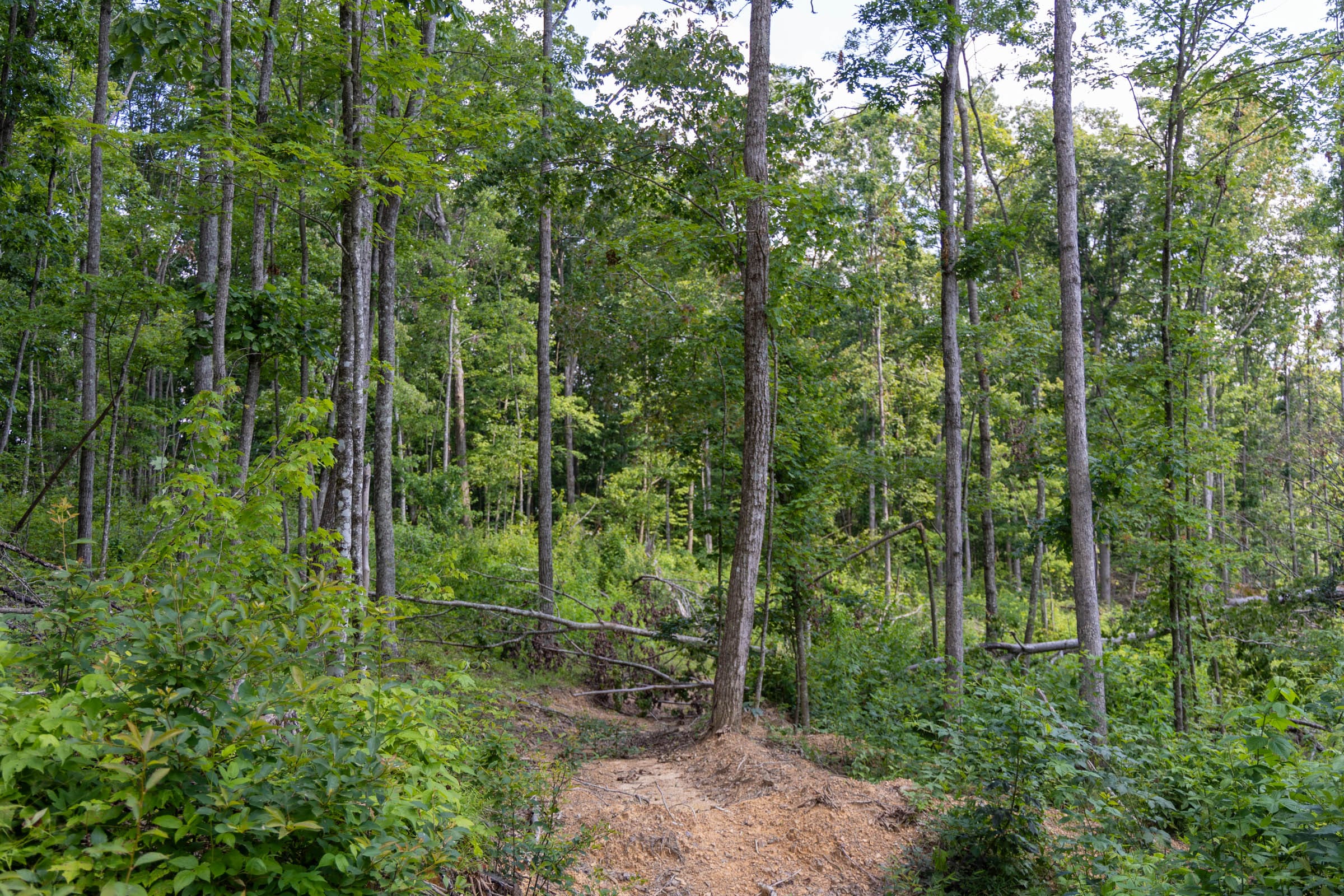Creek Hollow Phase II Tract 61 photo 9