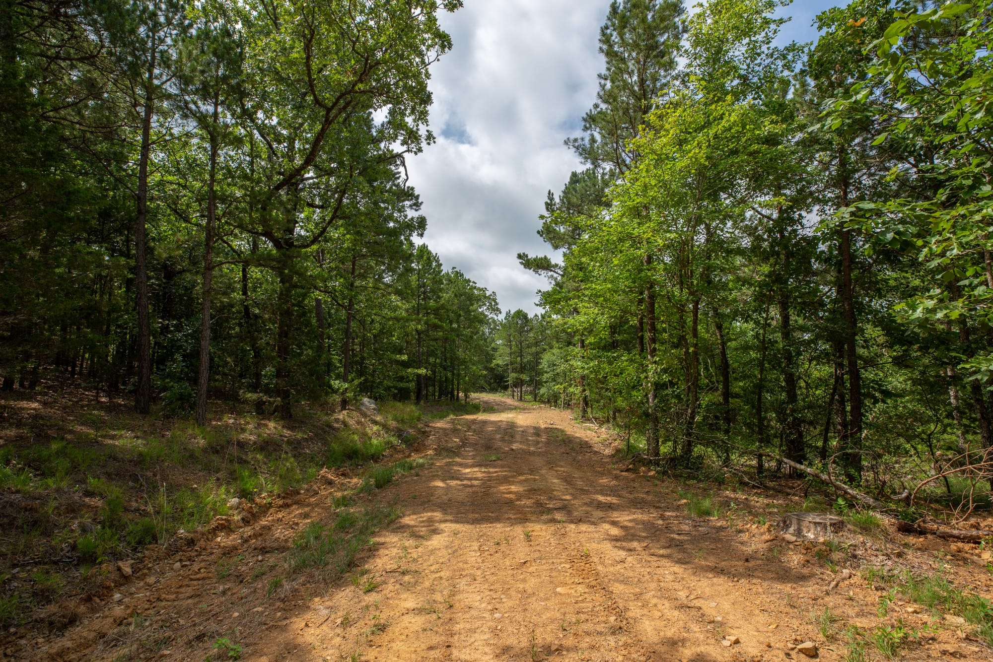 Eagle’s Nest Tract 37 photo 8