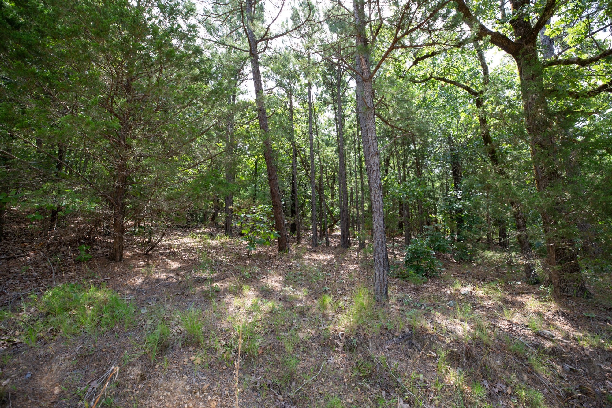 Eagle’s Nest Tract 37 photo 2
