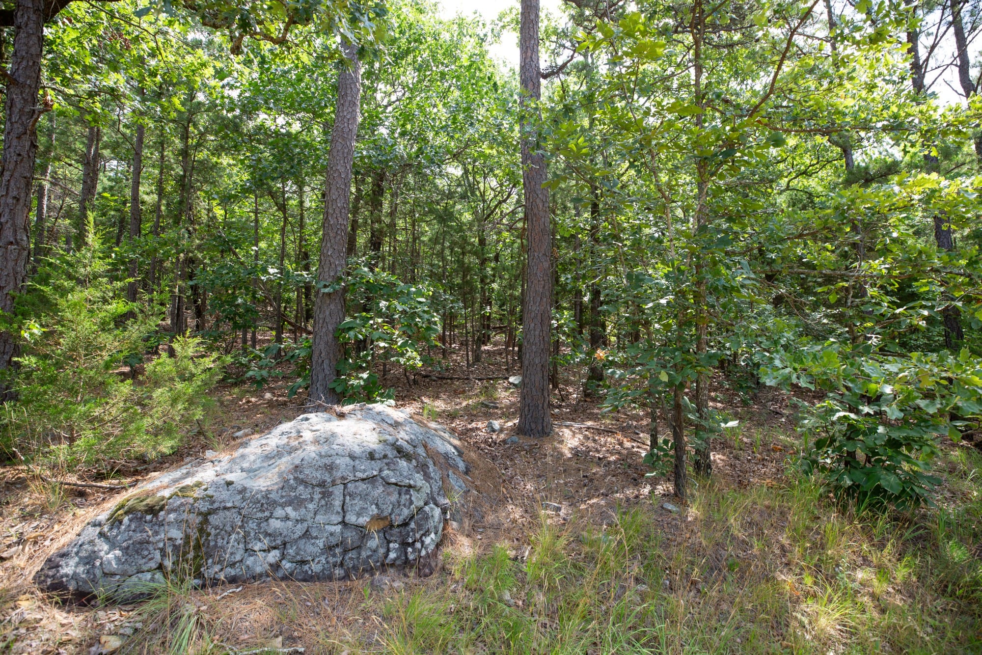 Eagle’s Nest Tract 37 photo 3