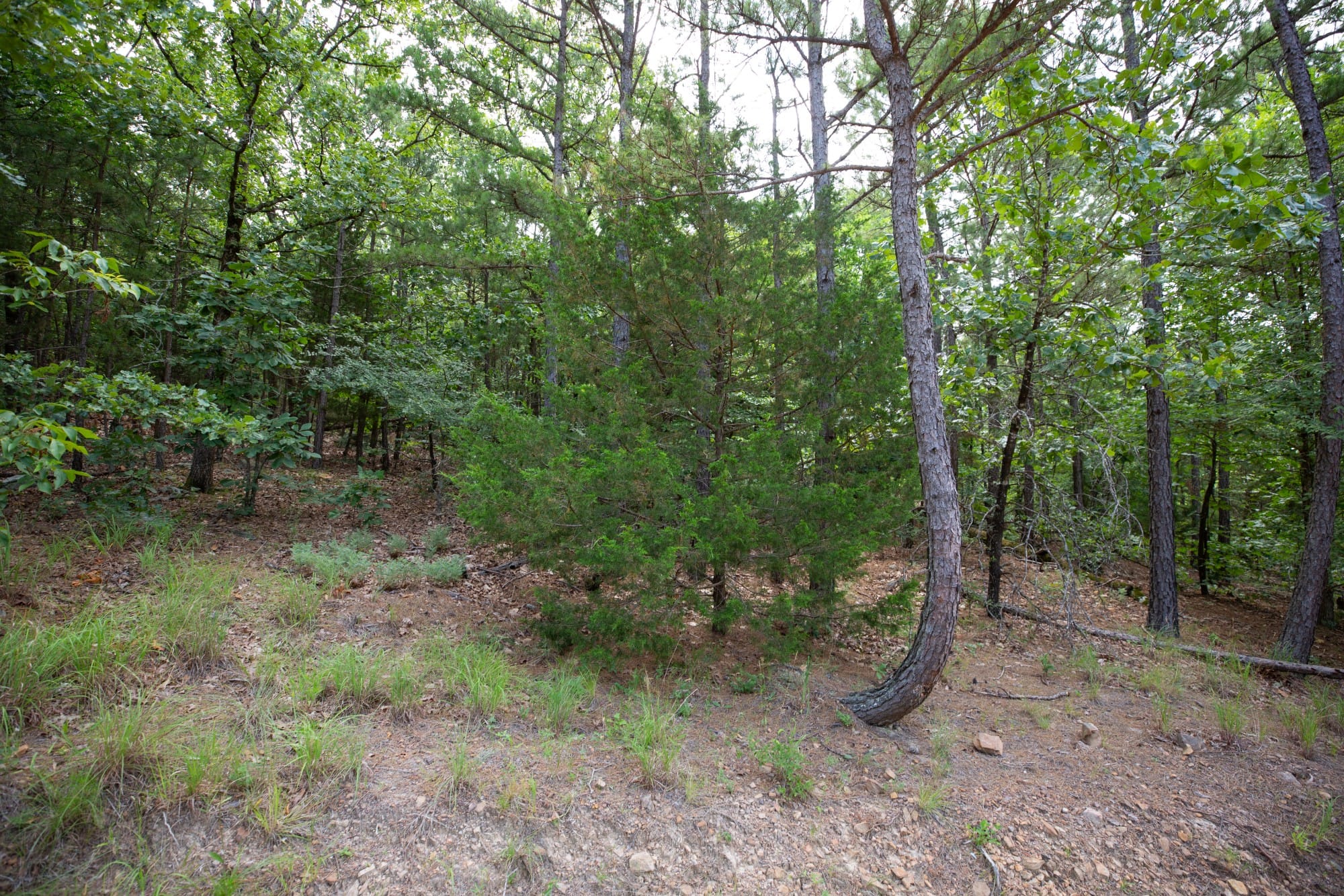 Eagle’s Nest Tract 37 photo 4