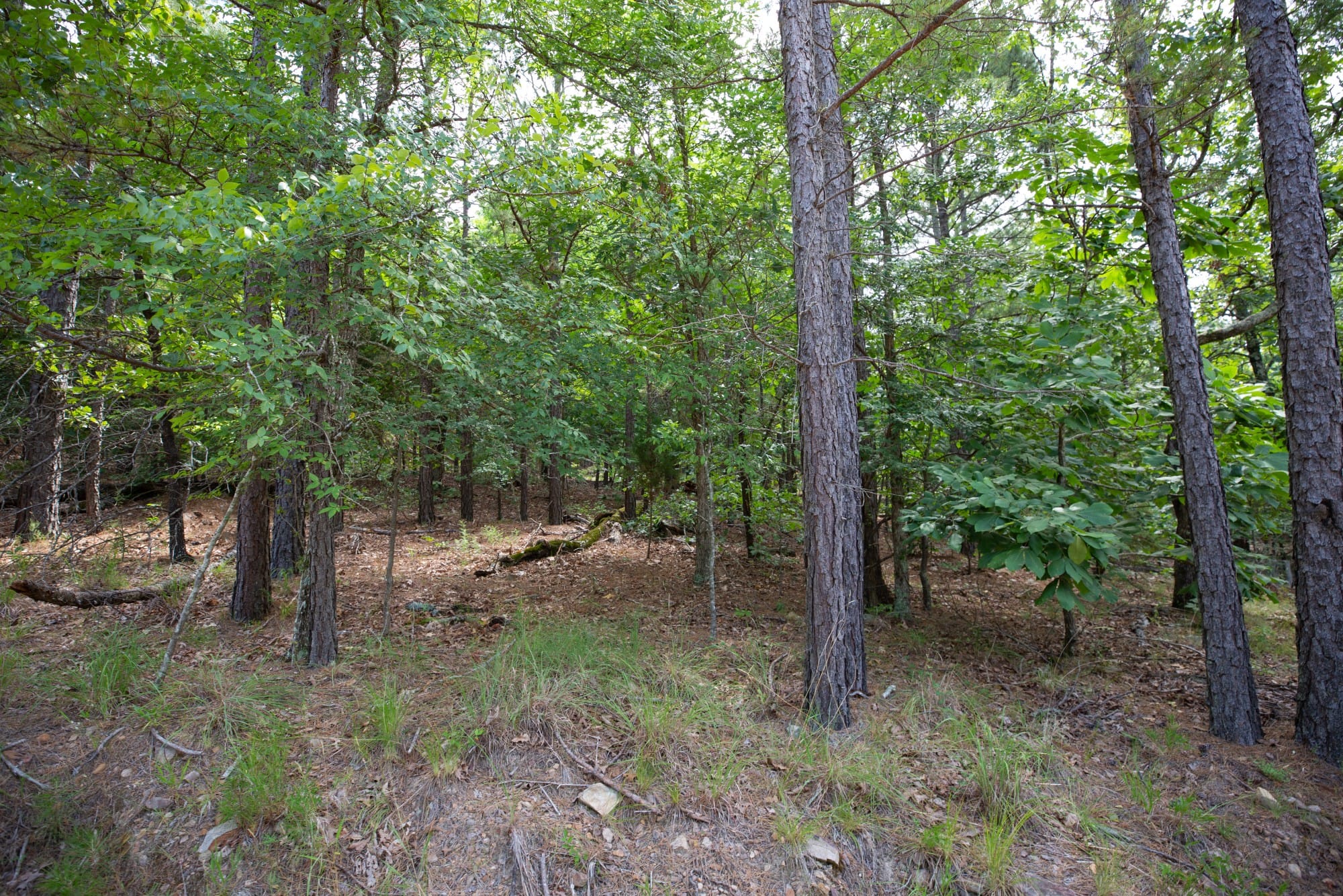 Eagle’s Nest Tract 37 photo 5