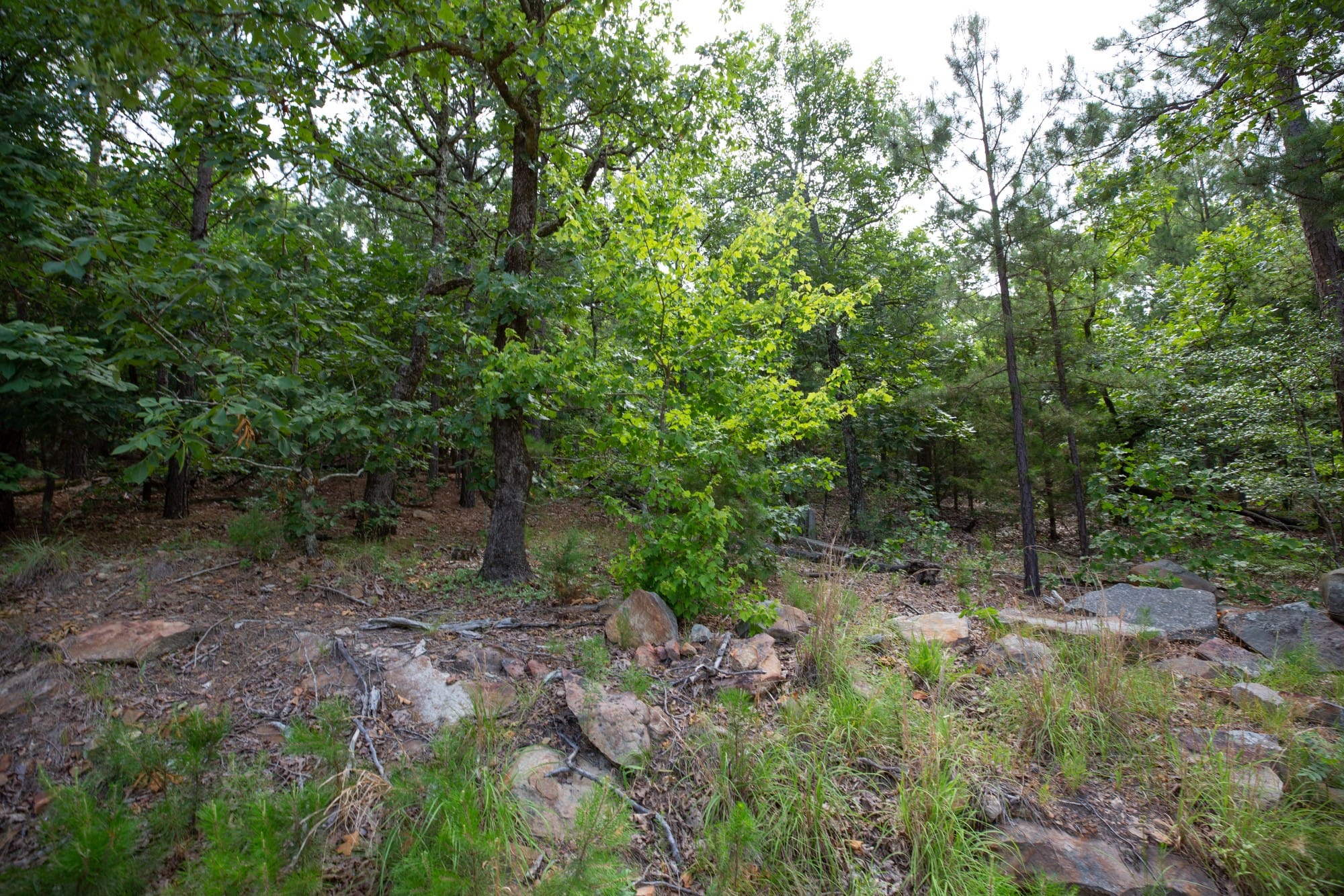 Eagle’s Nest Tract 37 photo 6
