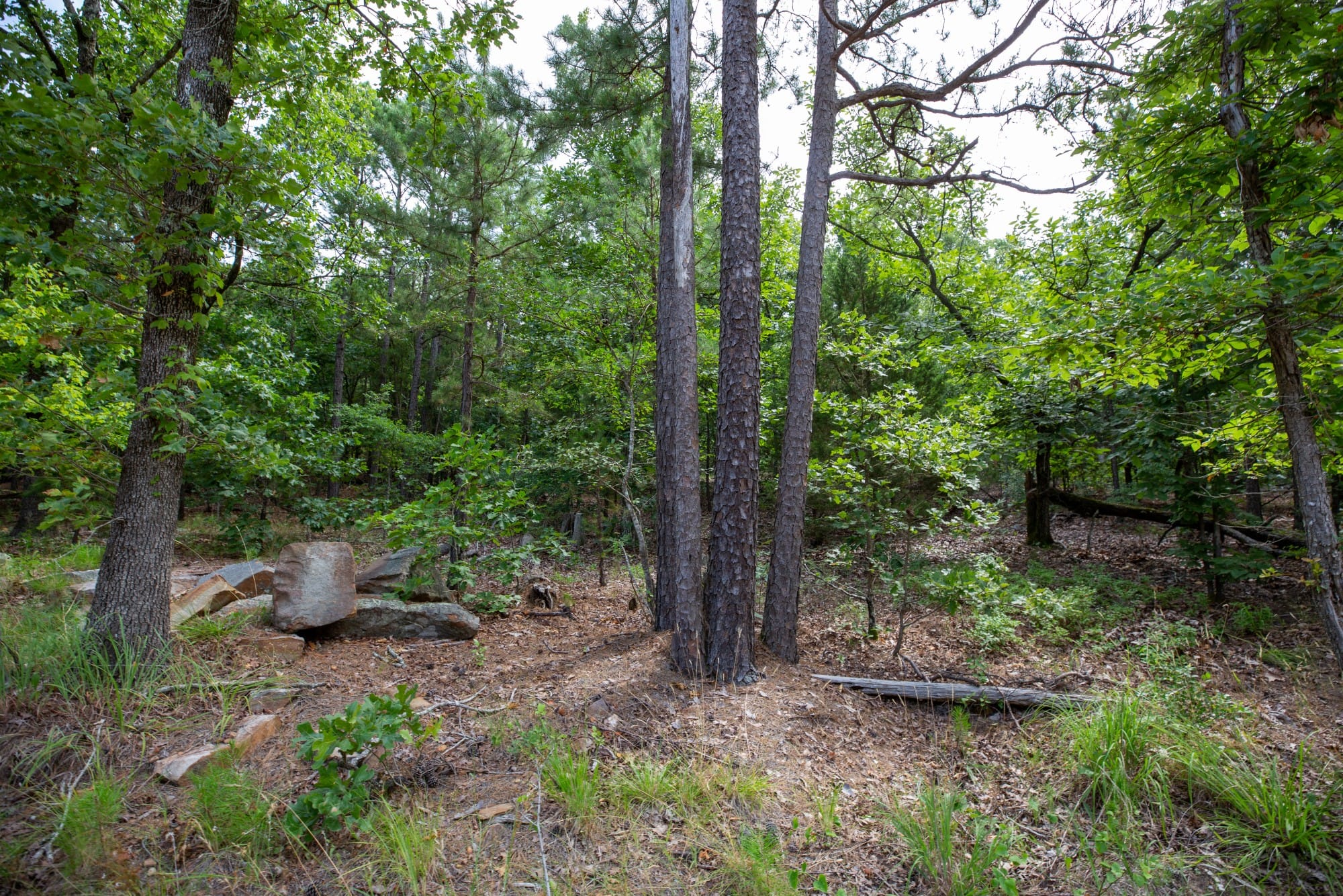 Eagle’s Nest Tract 37 photo 7