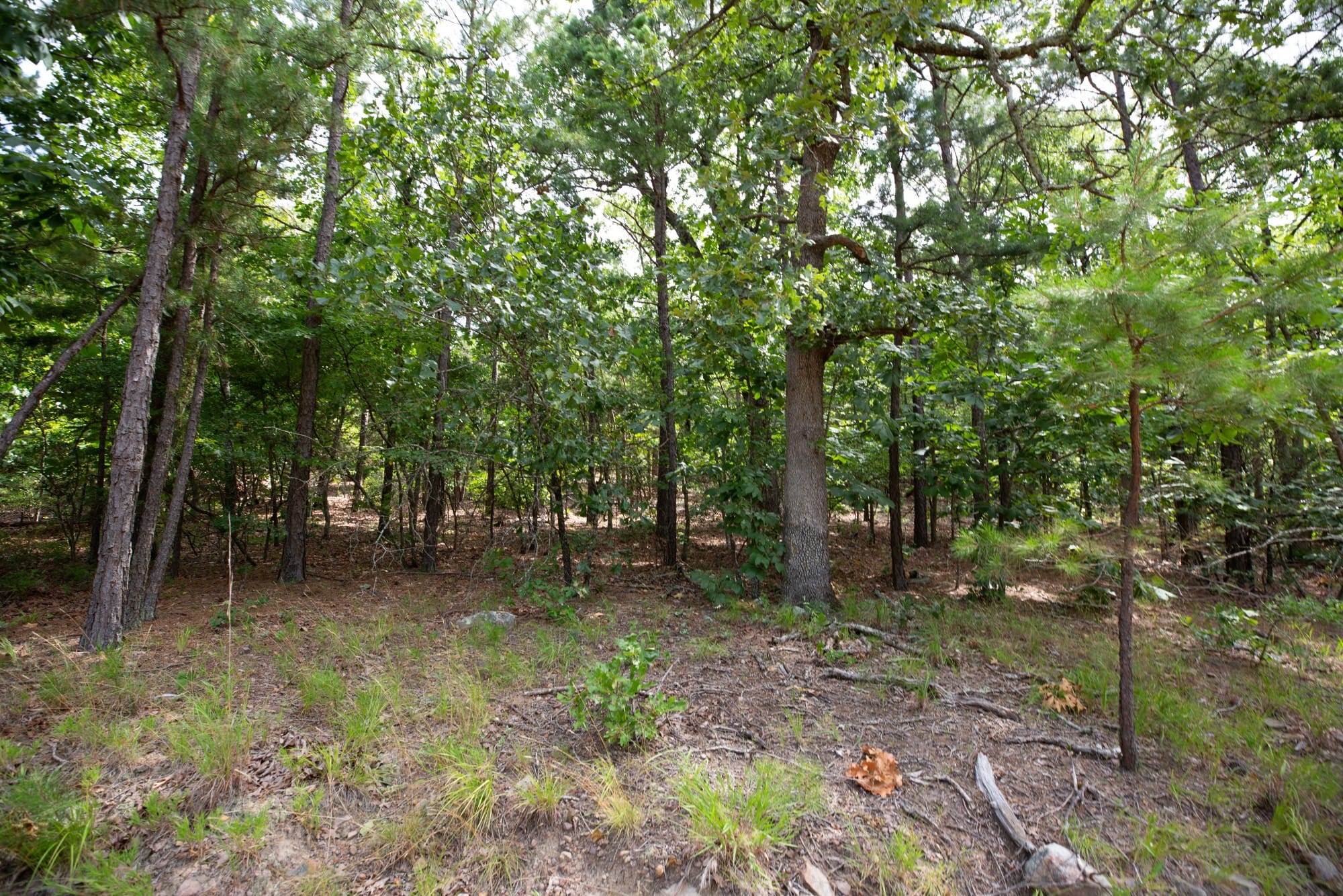Eagle’s Nest Tract 37 photo 10