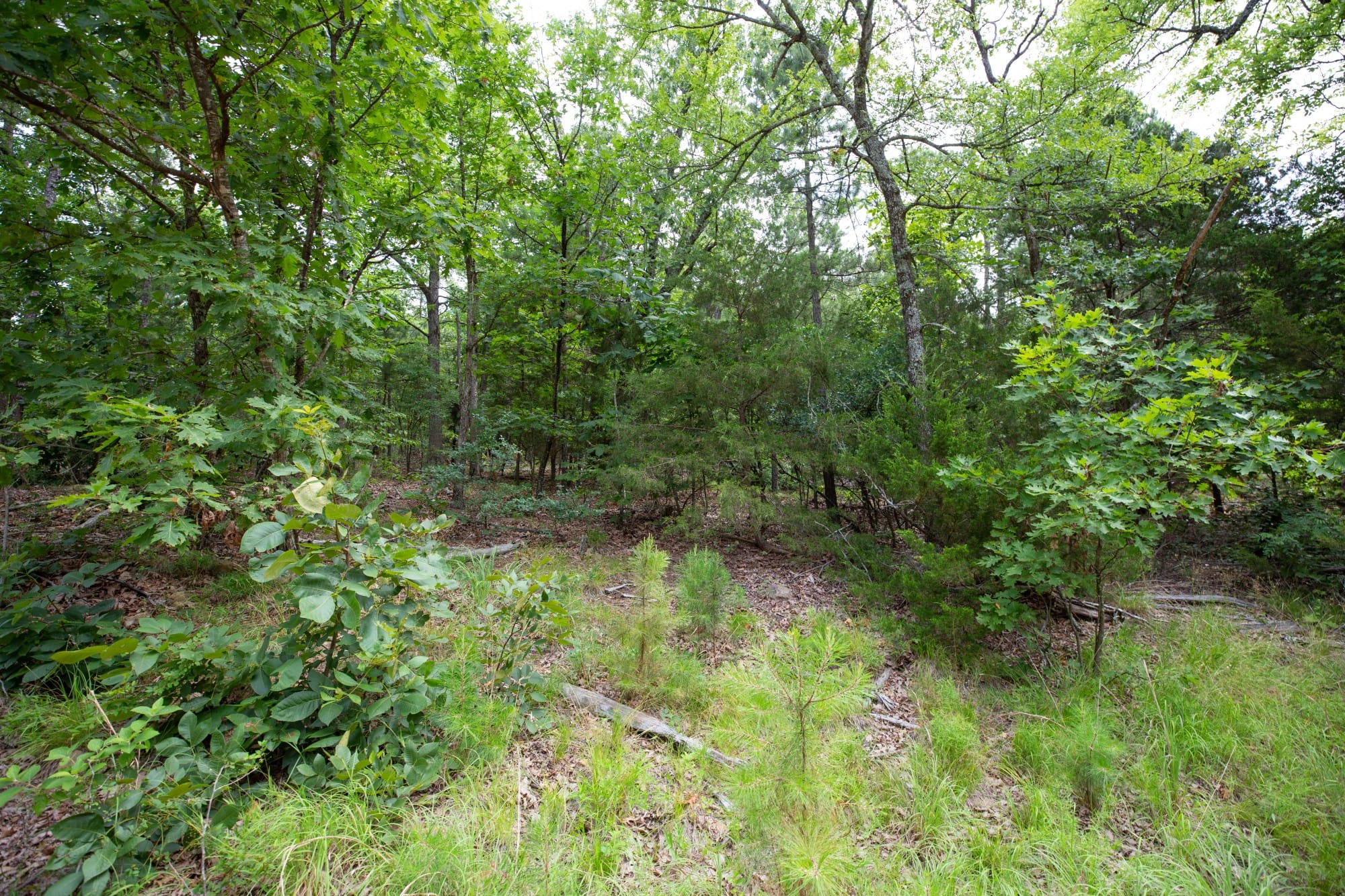 Eagle’s Nest Tract 37 photo 11