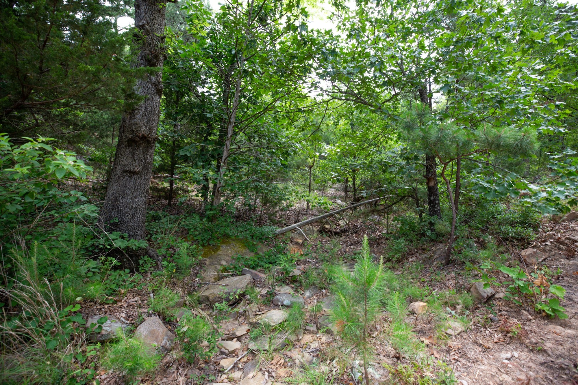 Eagle’s Nest Tract 37 photo 12