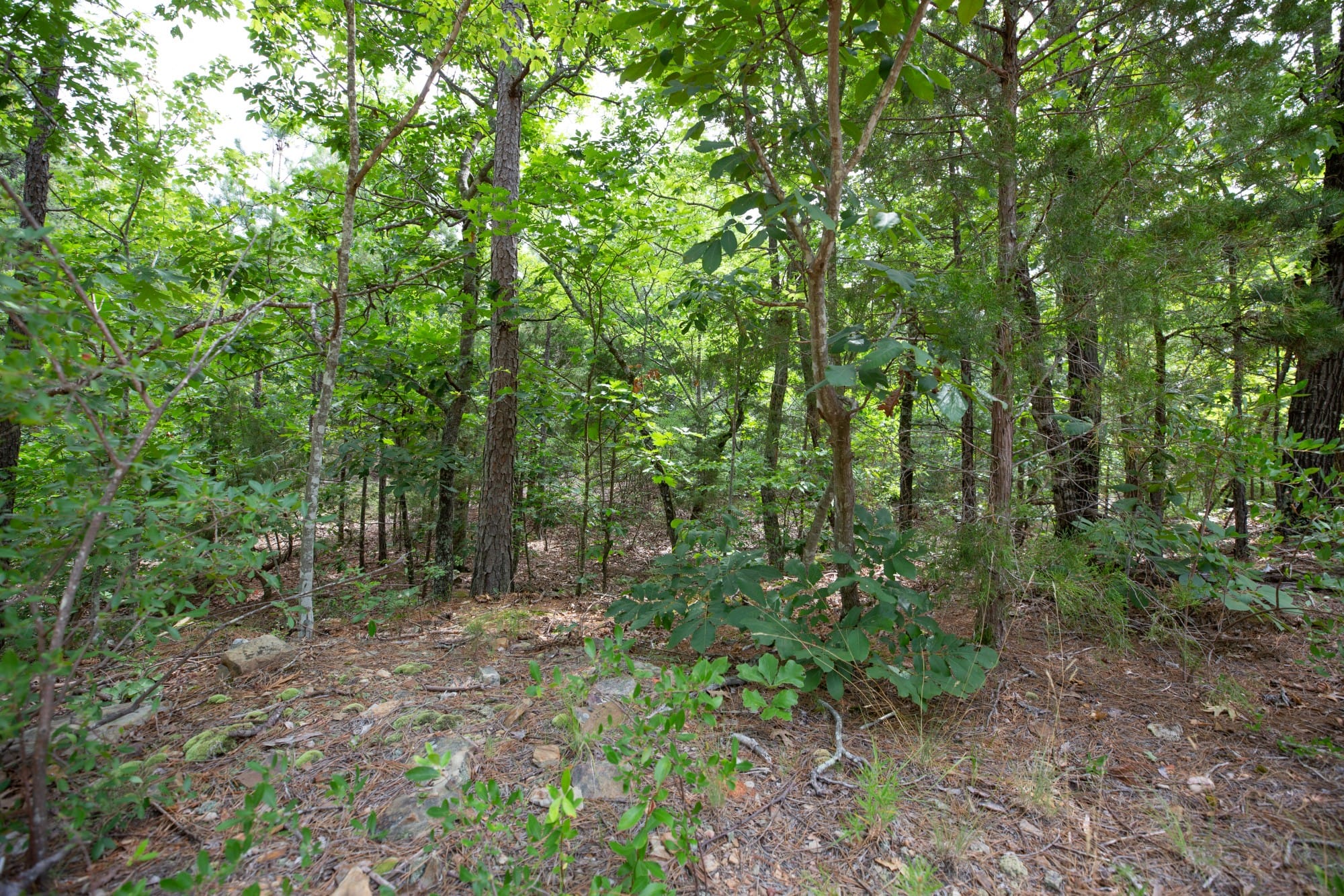 Eagle’s Nest Tract 37 photo 13