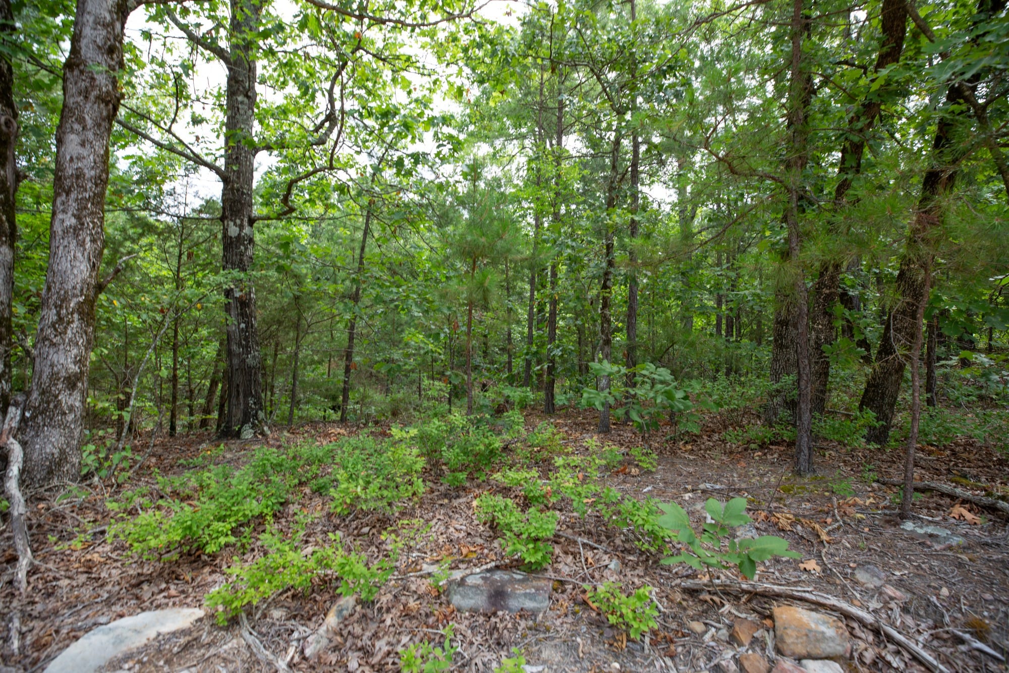 Eagle’s Nest Tract 37 photo 17