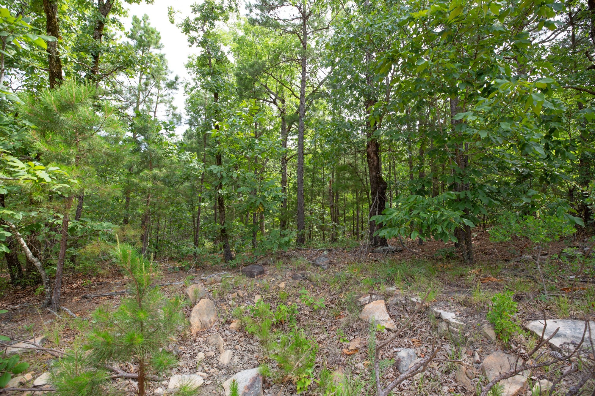 Eagle’s Nest Tract 37 photo 18