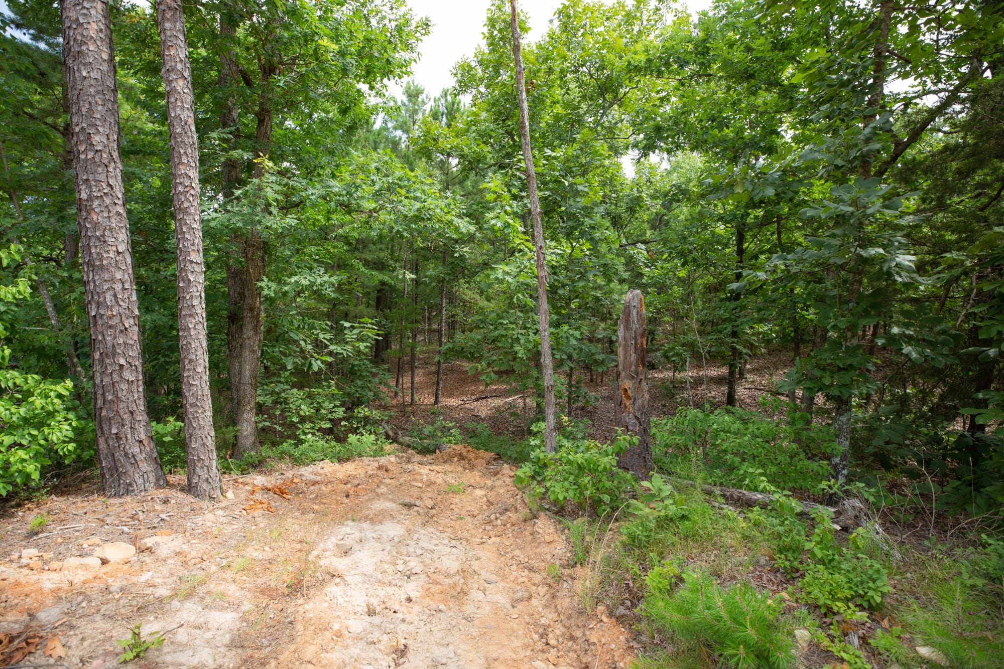 Eagle’s Nest Tract 37 photo 15