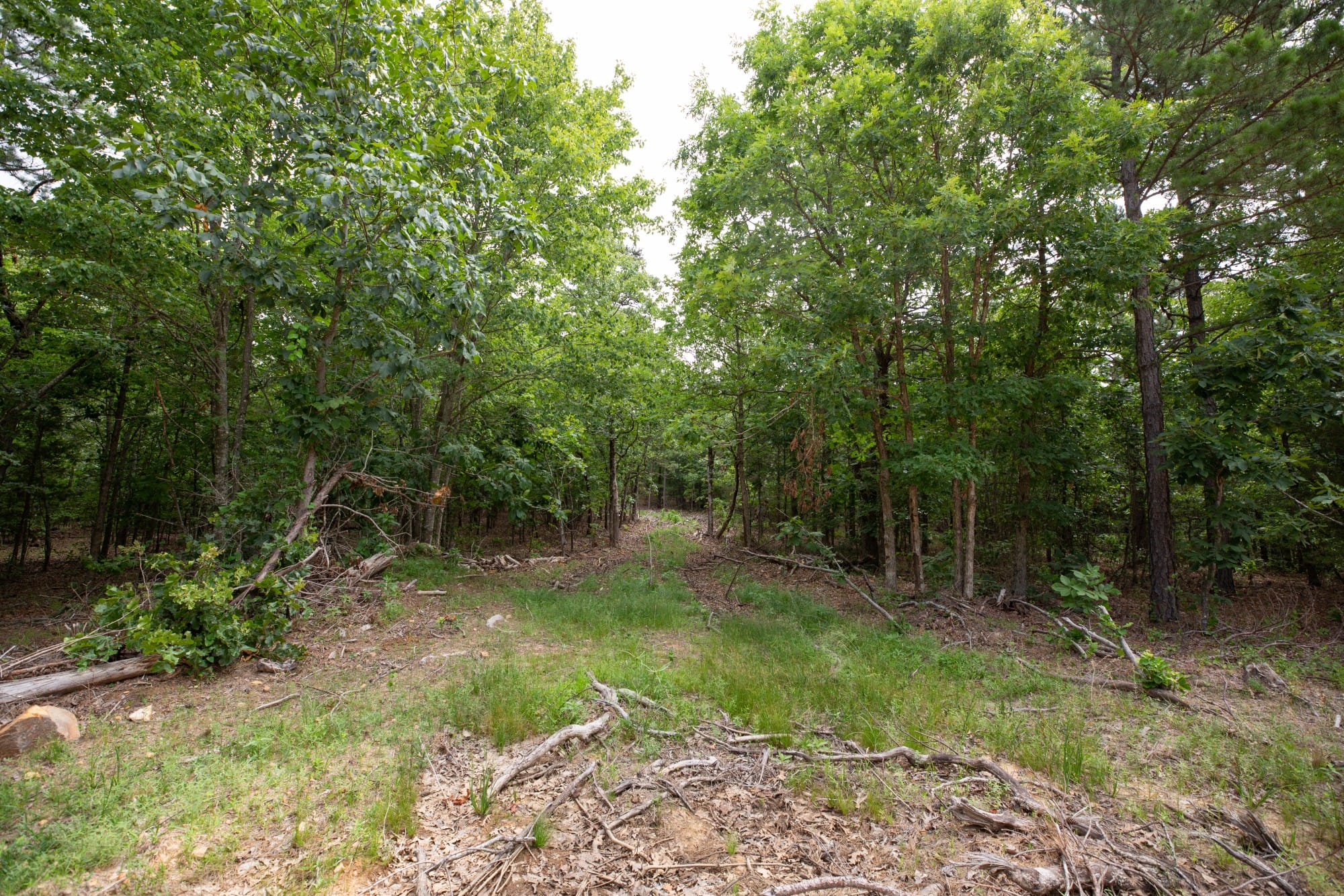 Eagle’s Nest Tract 37 photo 21