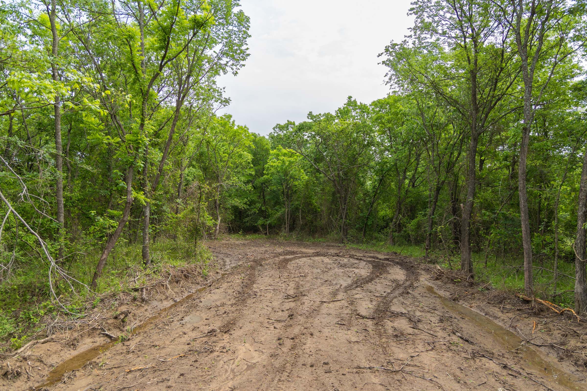 Harmony Hills Tract 9 photo 3