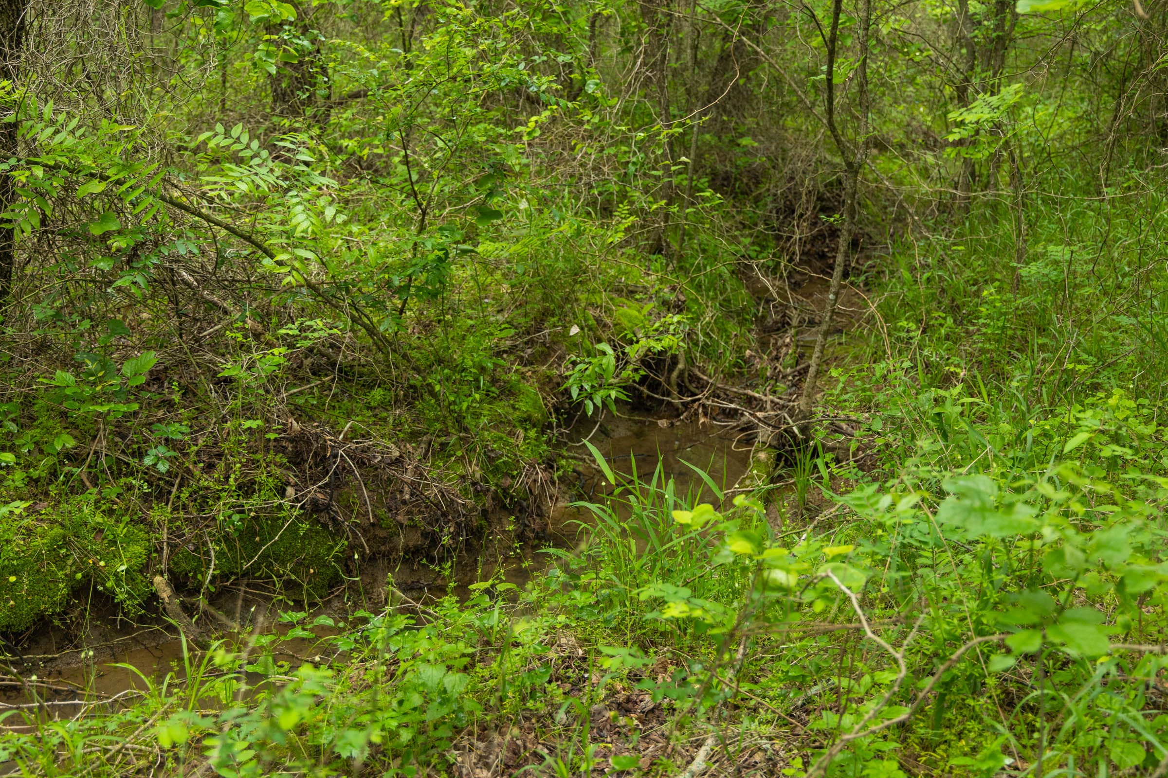 Harmony Hills Tract 9 photo 10