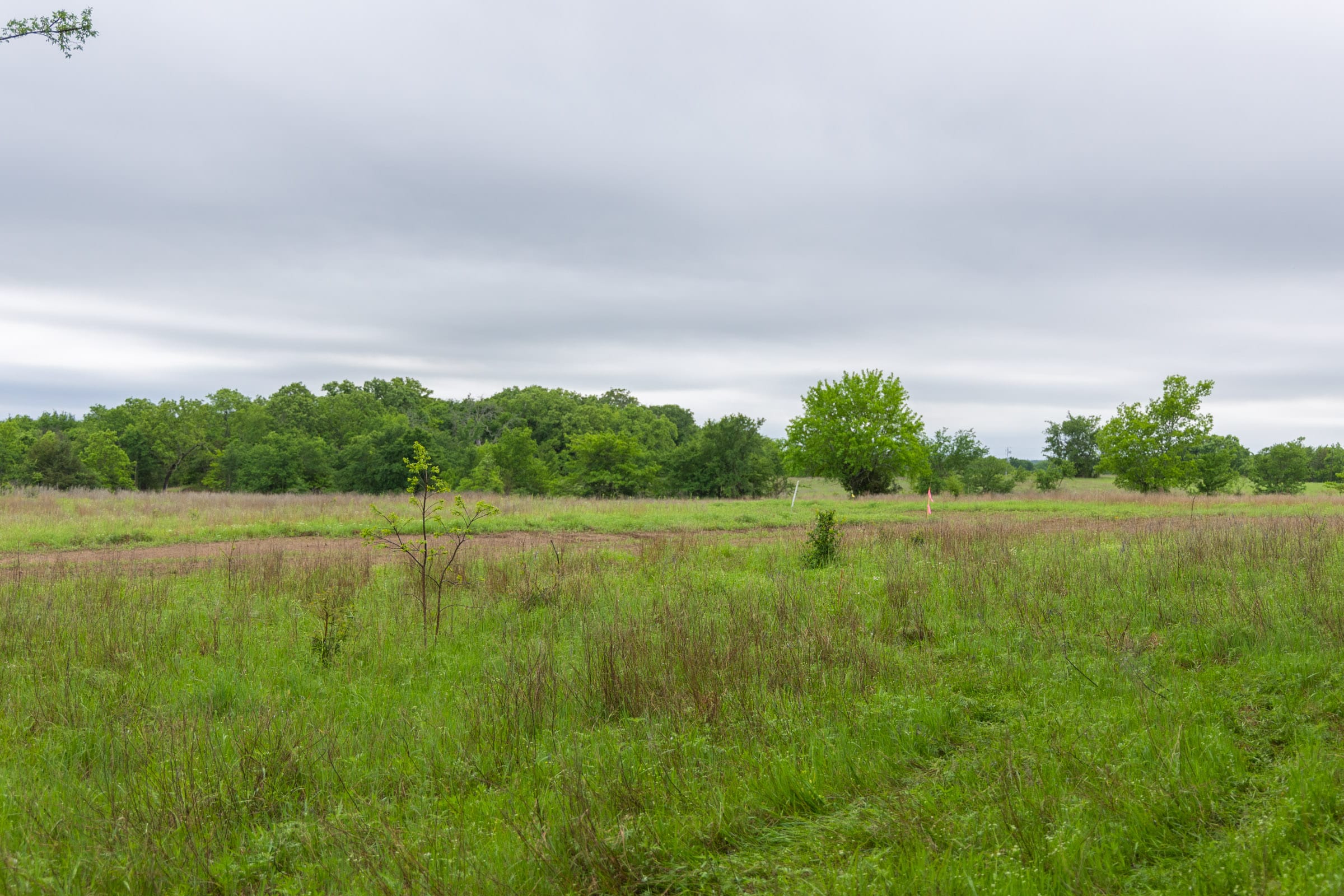 Harmony Hills Tract 9 photo 5