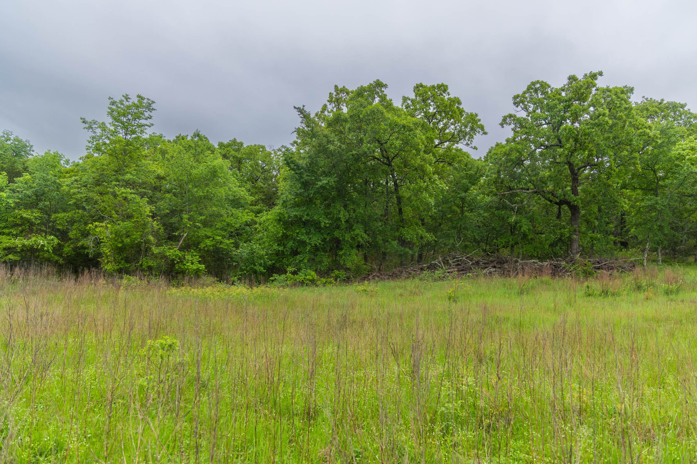 Harmony Hills Tract 9 photo 14