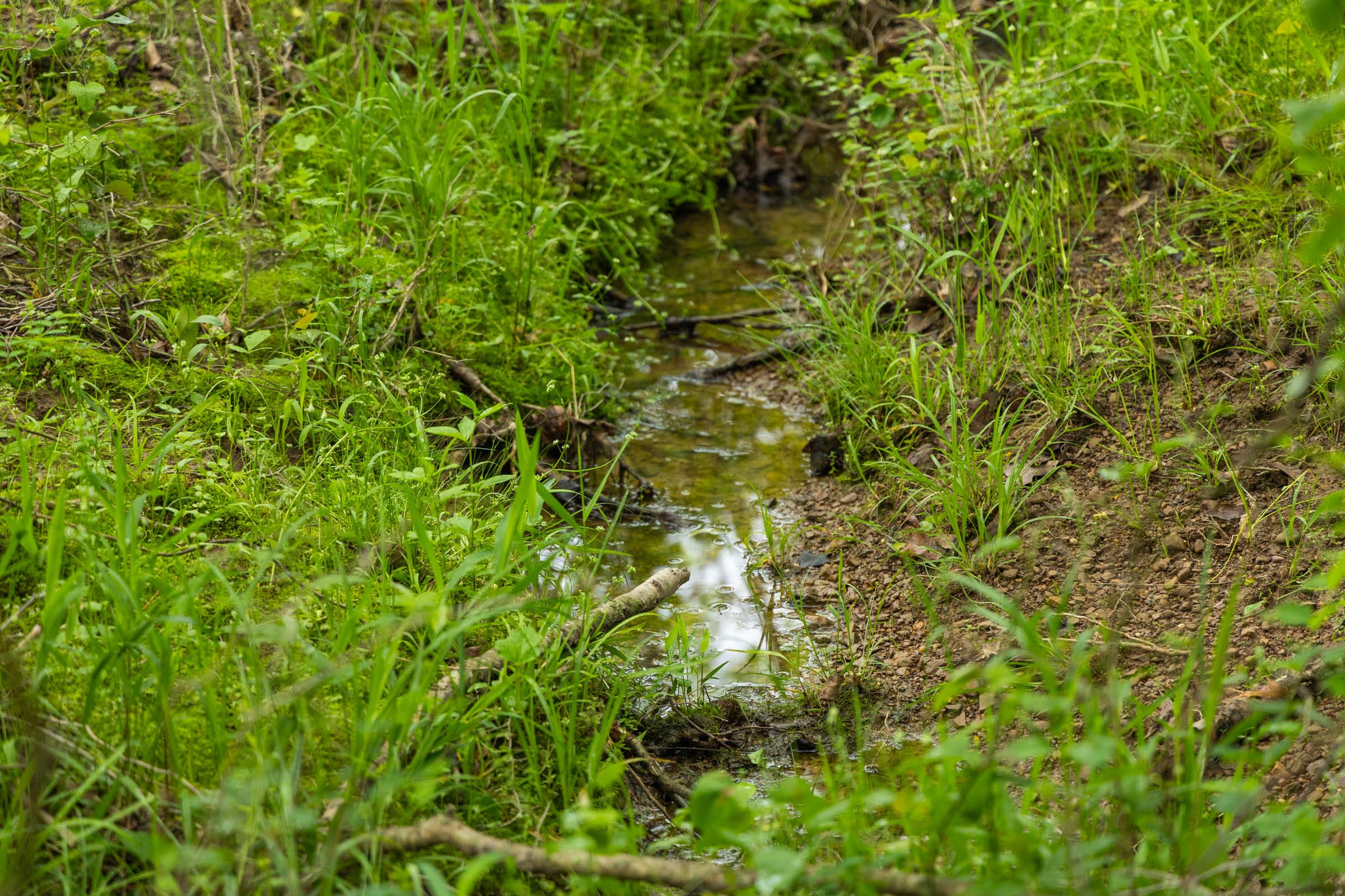 Harmony Hills Tract 9 photo 15