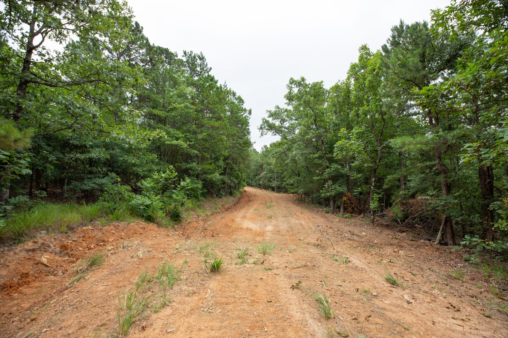 Eagle’s Nest Tract 63 photo 1