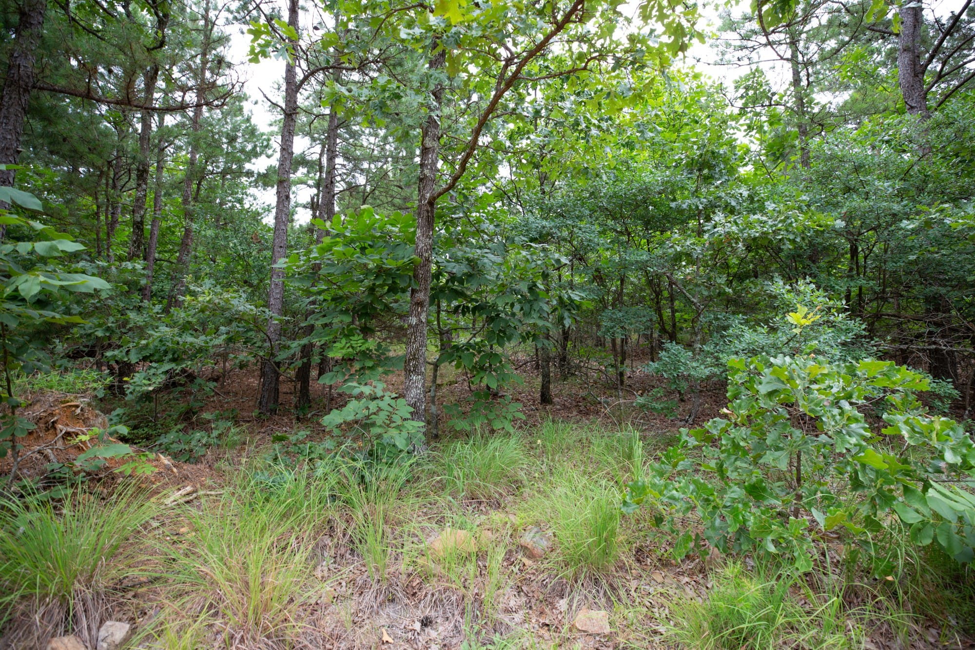 Eagle’s Nest Tract 63 photo 4
