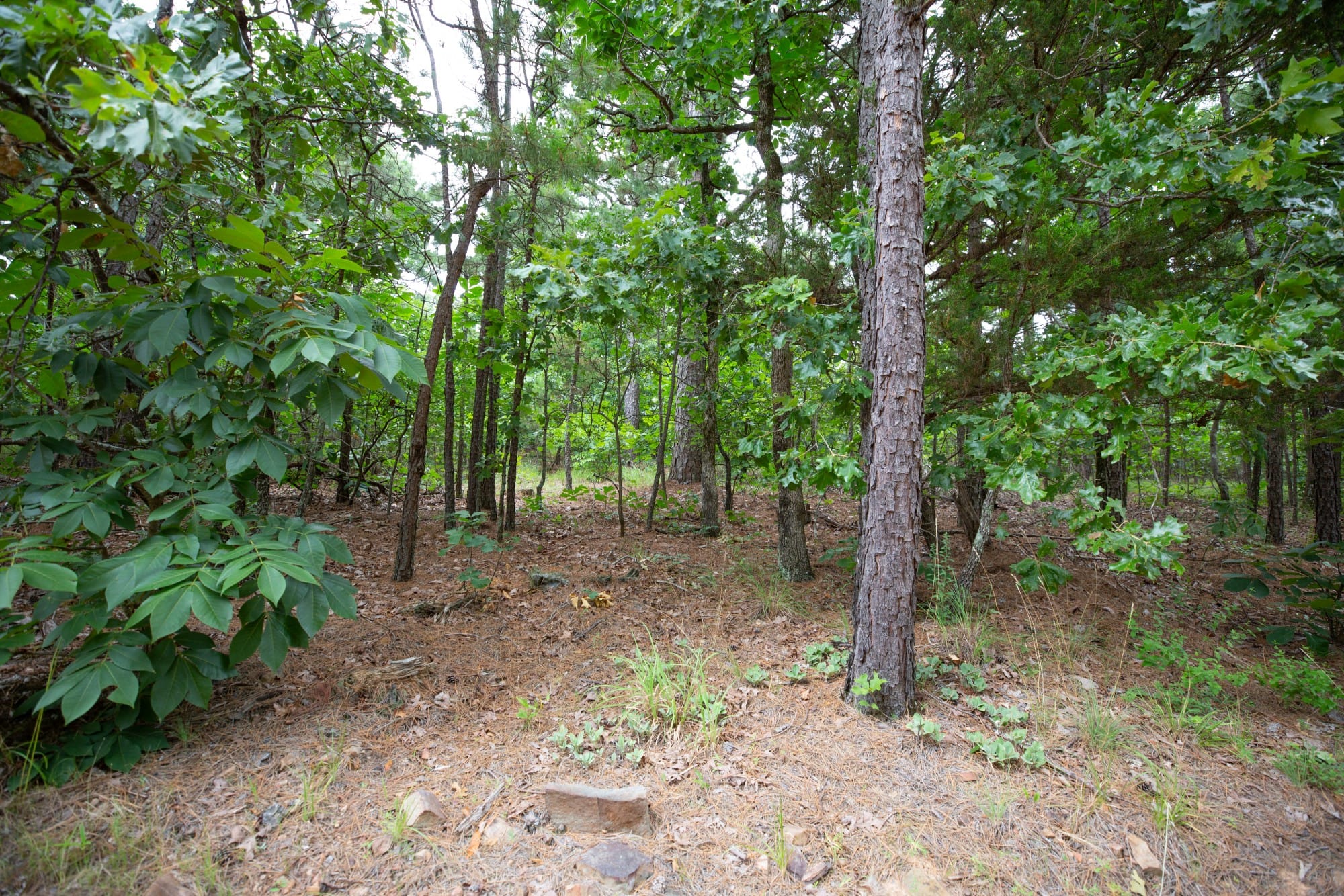 Eagle’s Nest Tract 63 photo 7