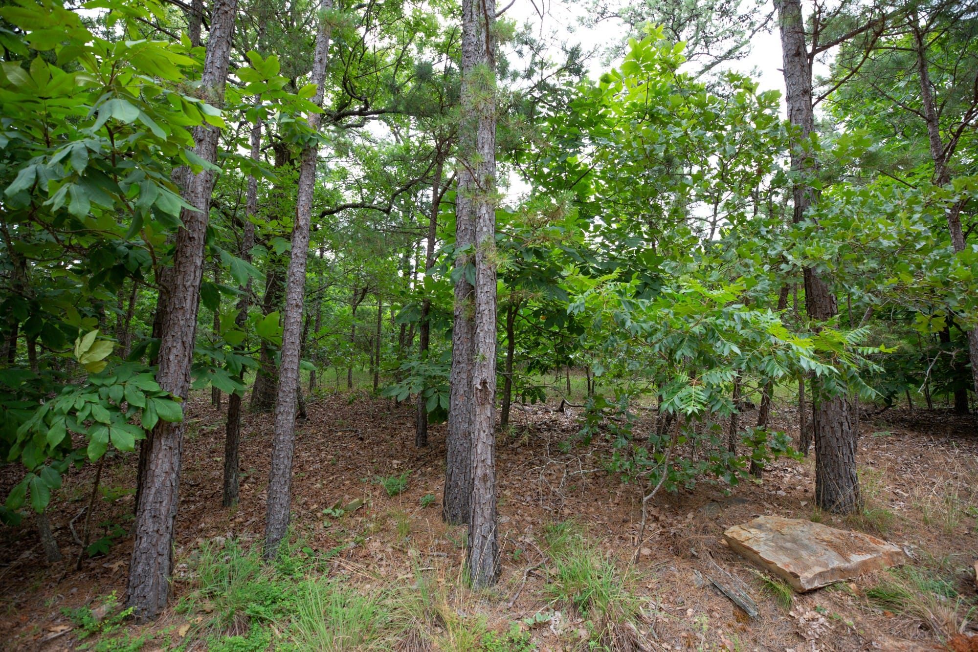 Eagle’s Nest Tract 63 photo 9