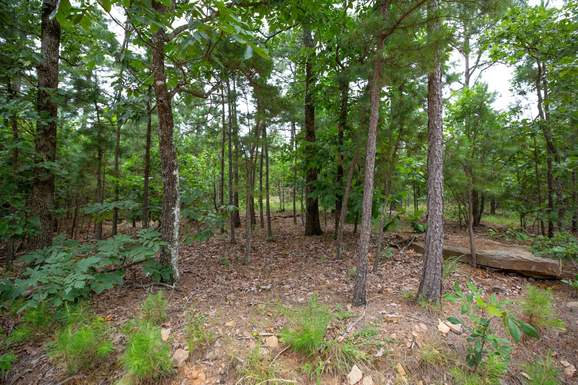 Eagle’s Nest Tract 63 photo 11