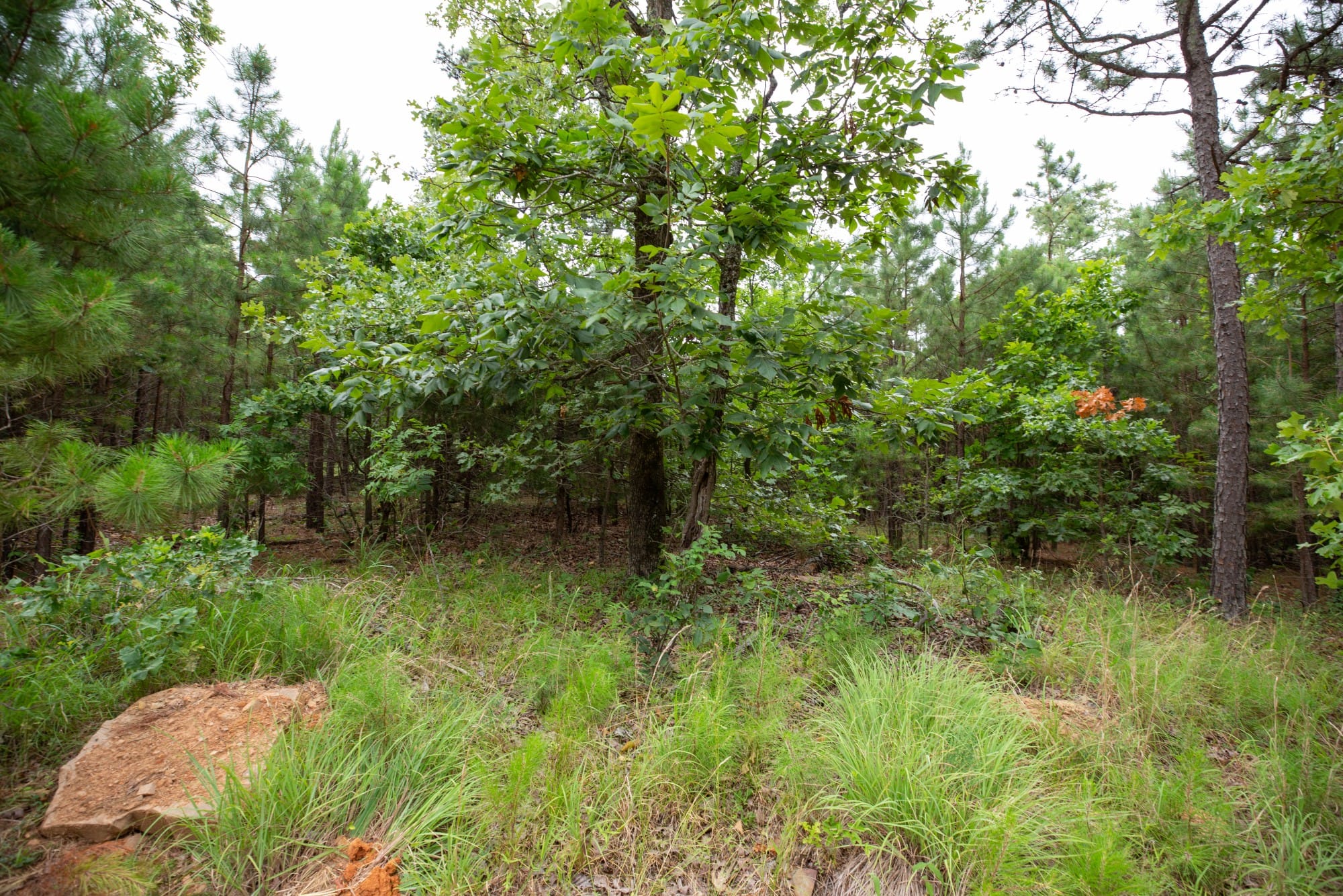 Eagle’s Nest Tract 63 photo 12
