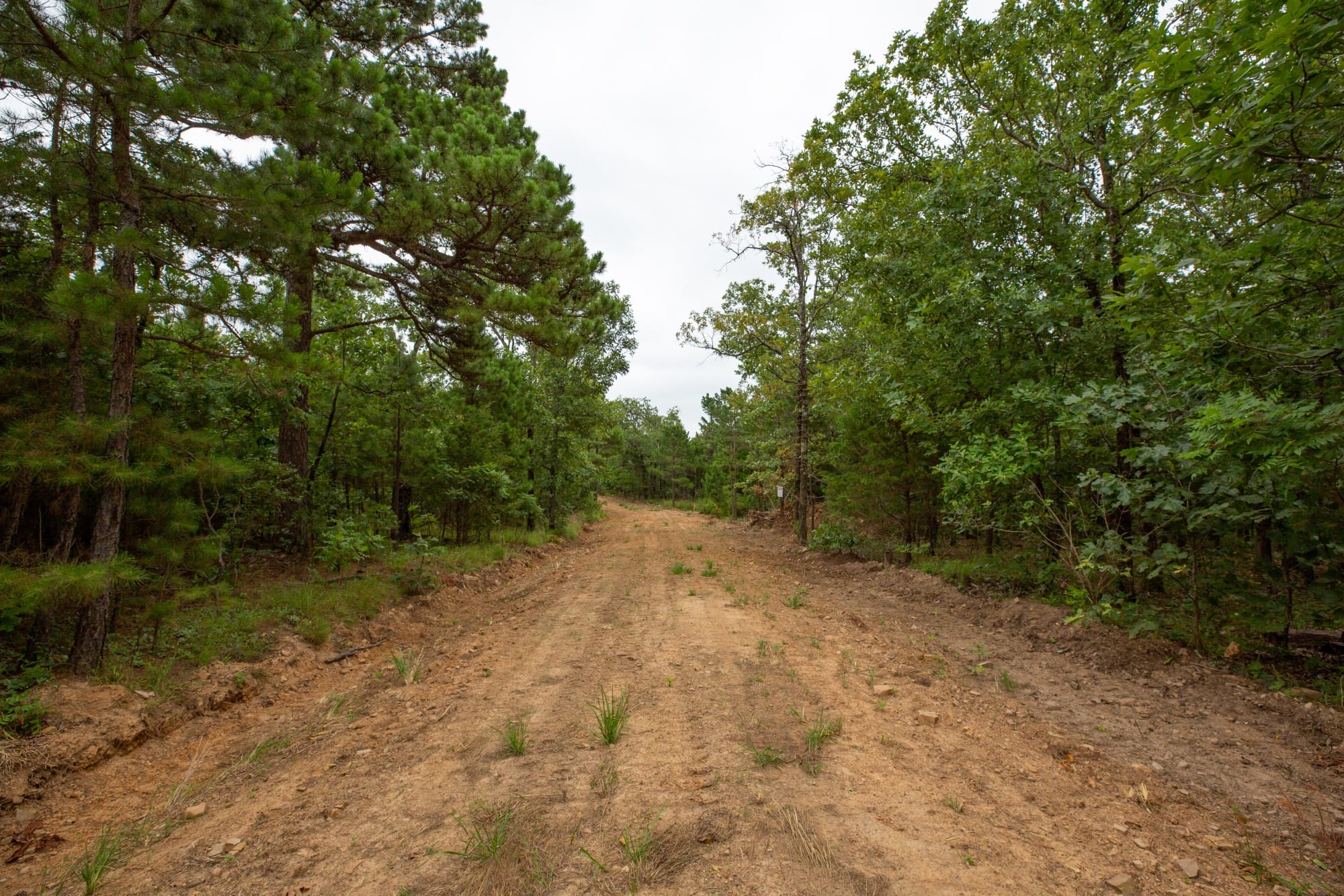Eagle’s Nest Tract 63 photo 5